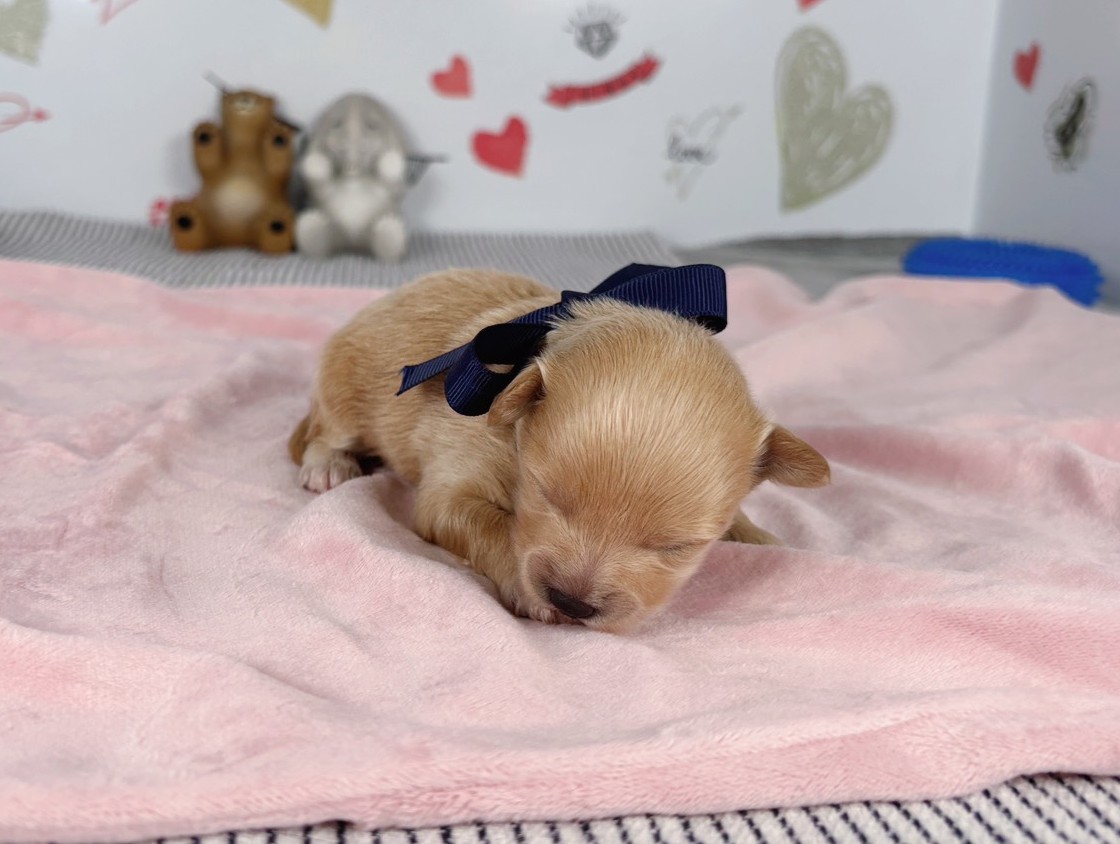 赤ちゃん写真1-1