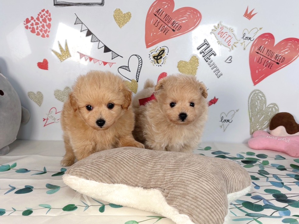赤ちゃん写真2-3