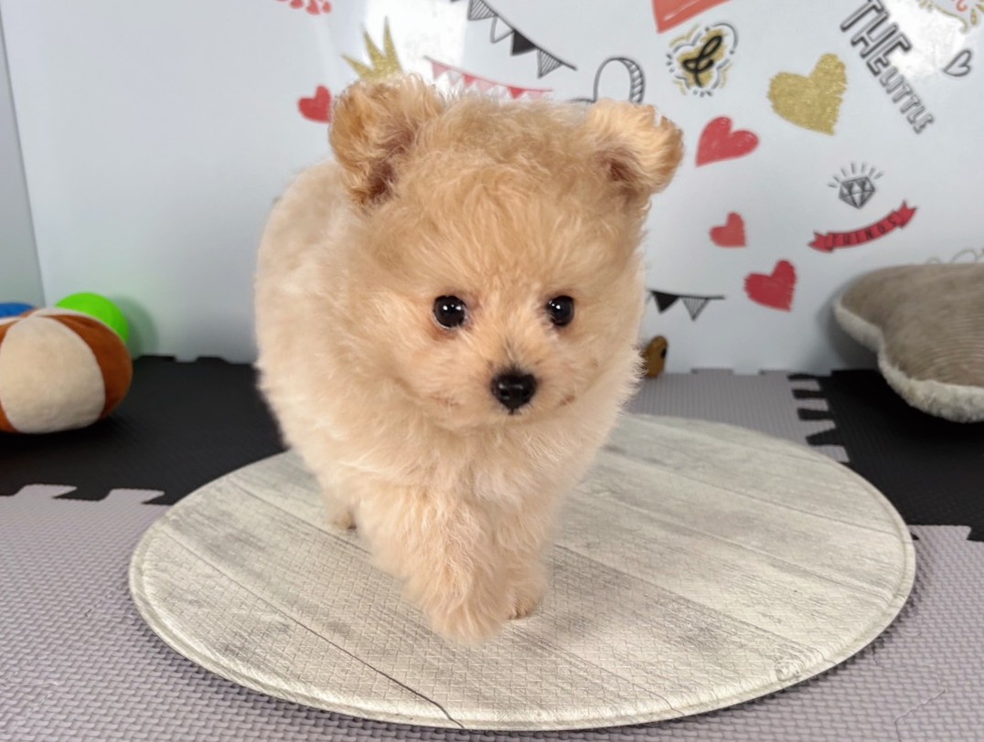 赤ちゃん写真3-1