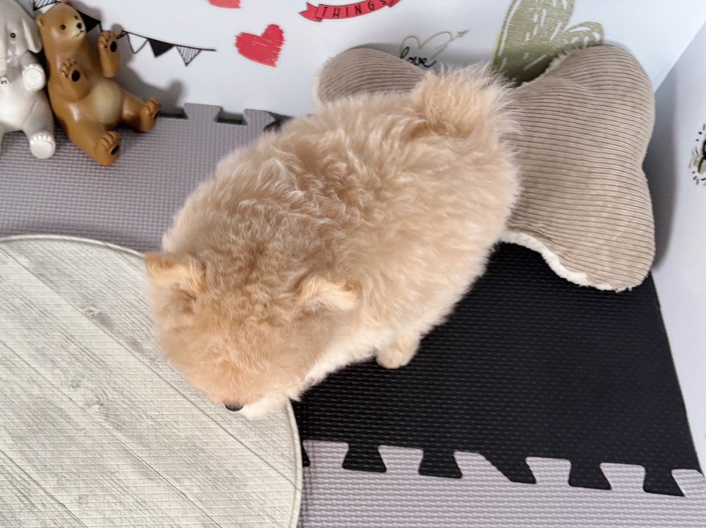 赤ちゃん写真3-3