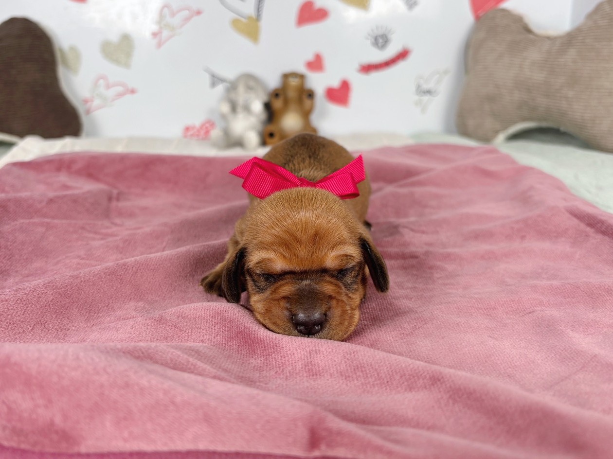 赤ちゃん写真1-1