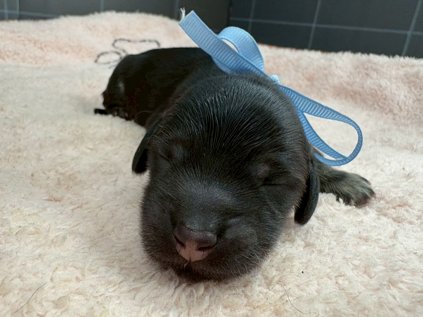 赤ちゃん写真1-1