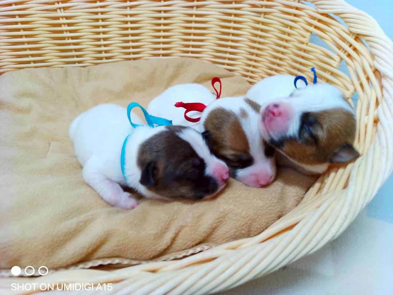 赤ちゃん写真1-3