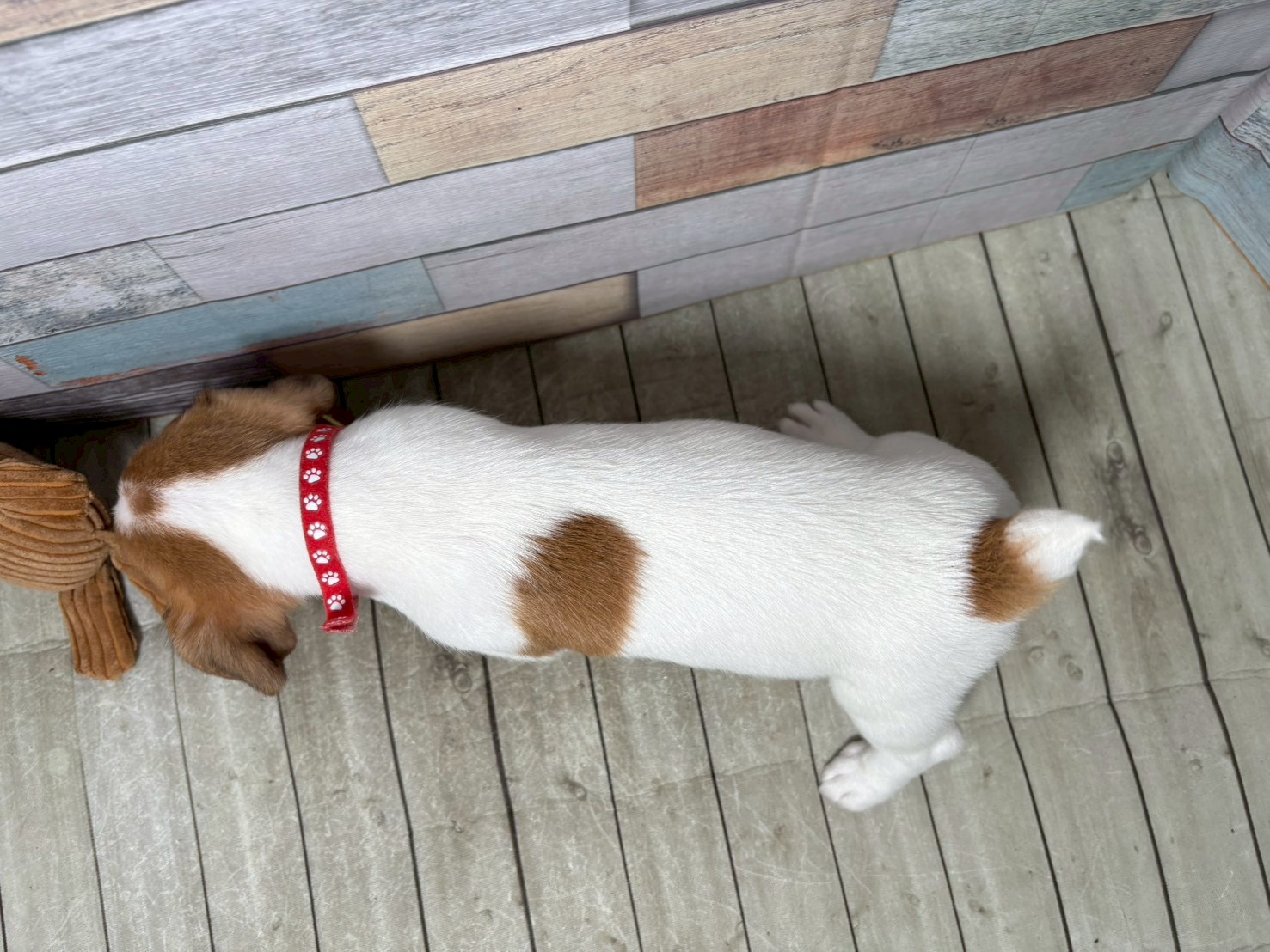 赤ちゃん写真3-3