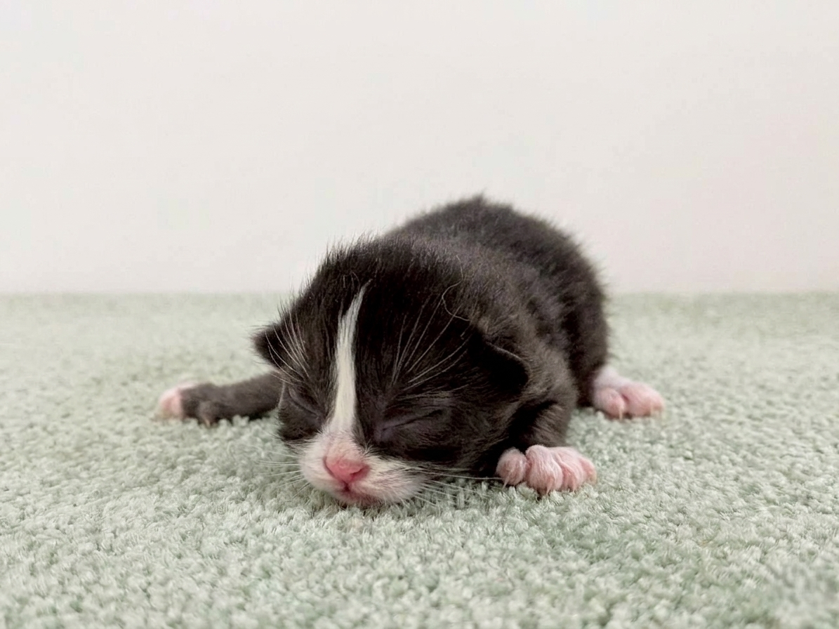 赤ちゃん写真1-1