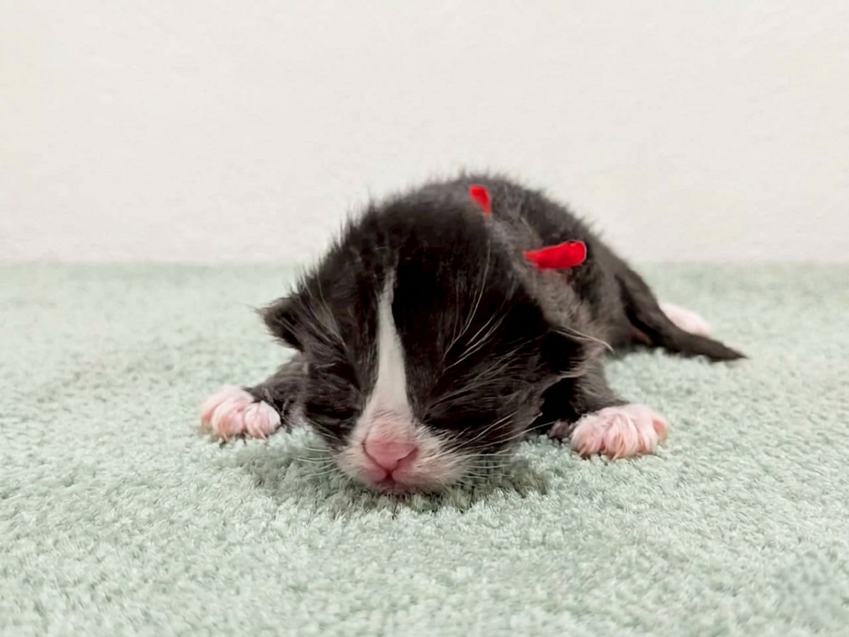 赤ちゃん写真1-1