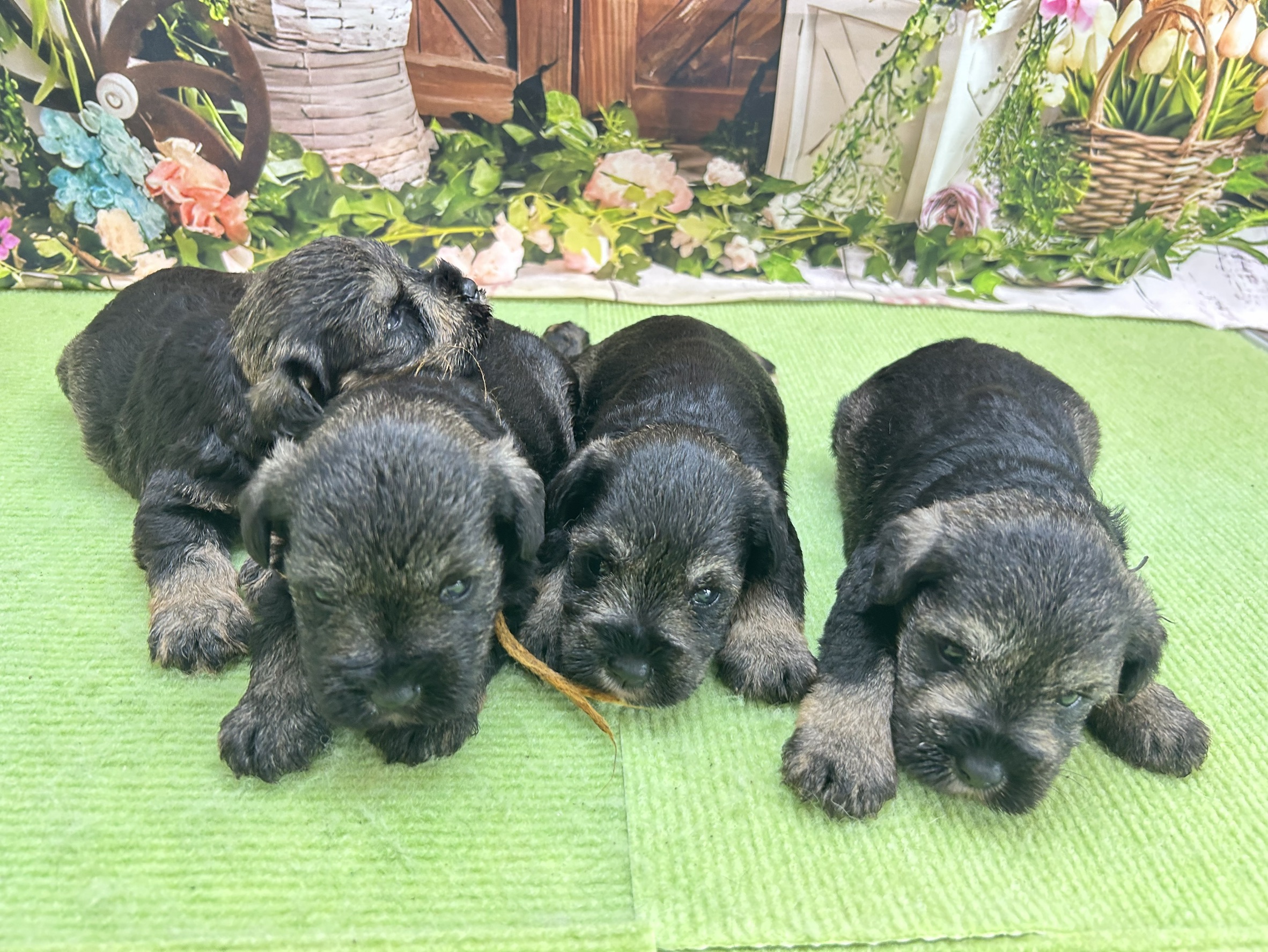 赤ちゃん写真1-3