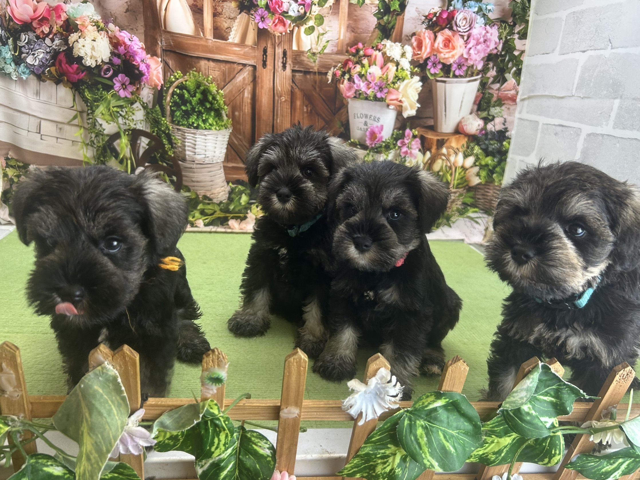 赤ちゃん写真3-3