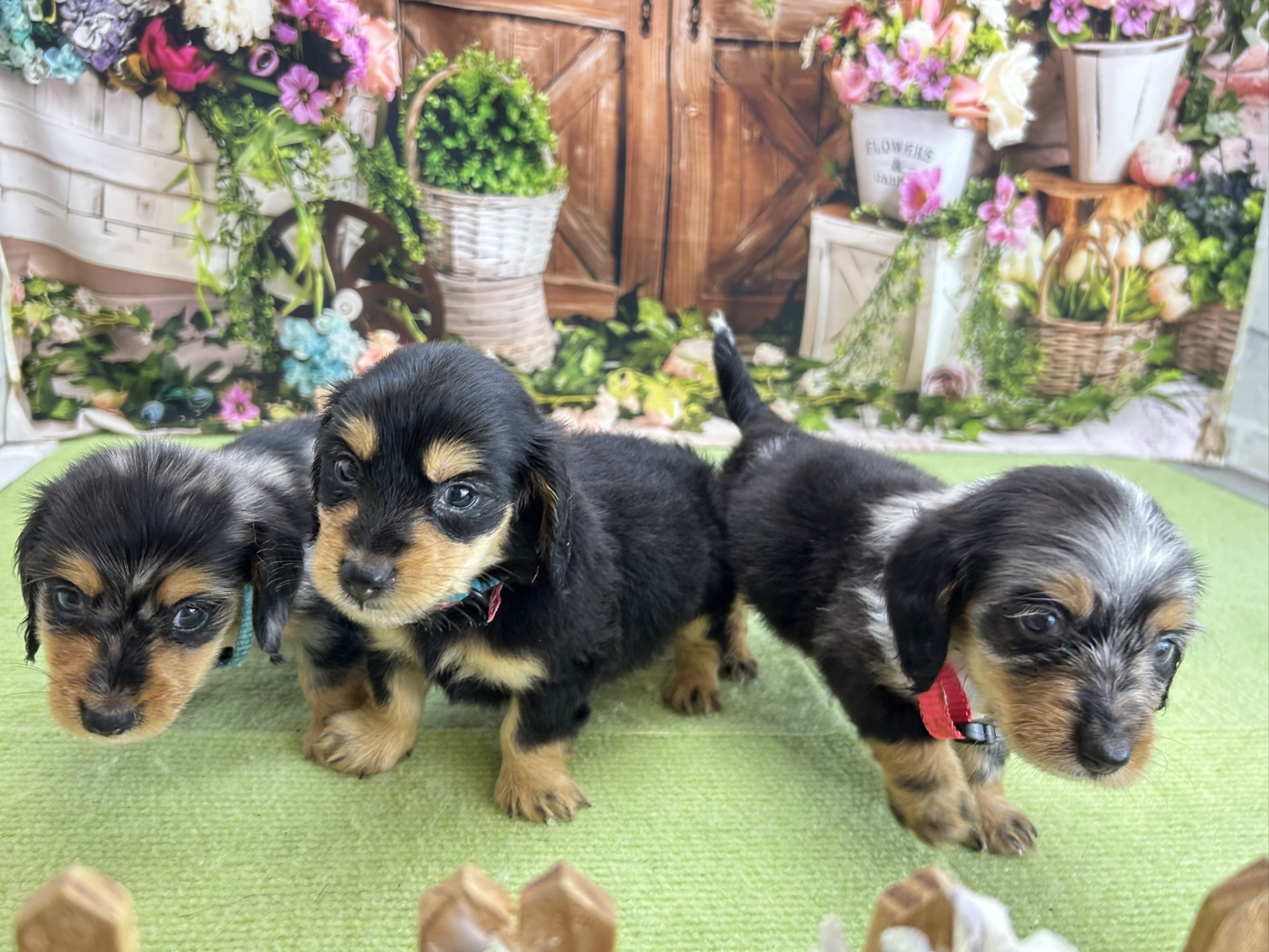赤ちゃん写真2-3