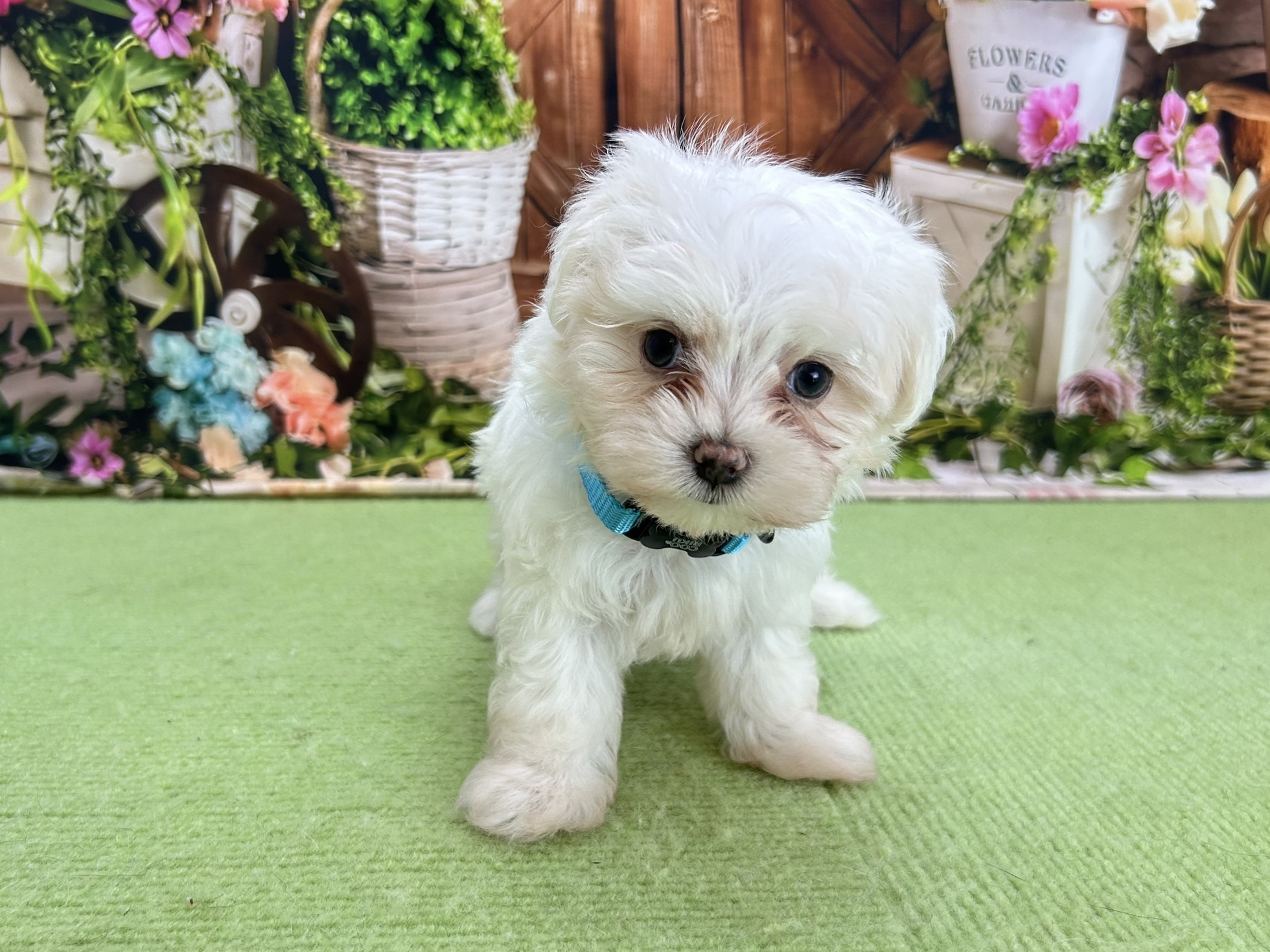 赤ちゃん写真3-1