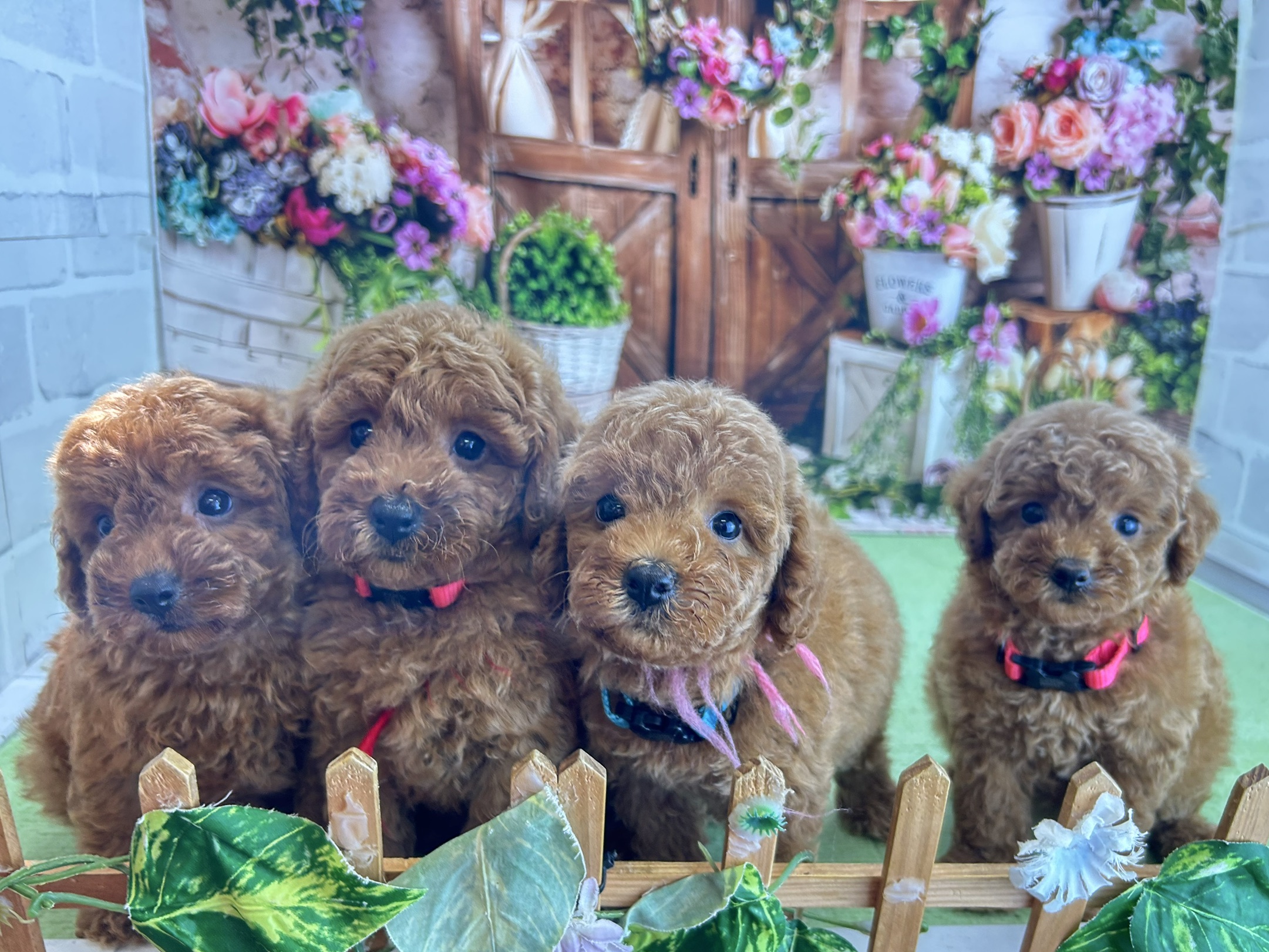 赤ちゃん写真3-3