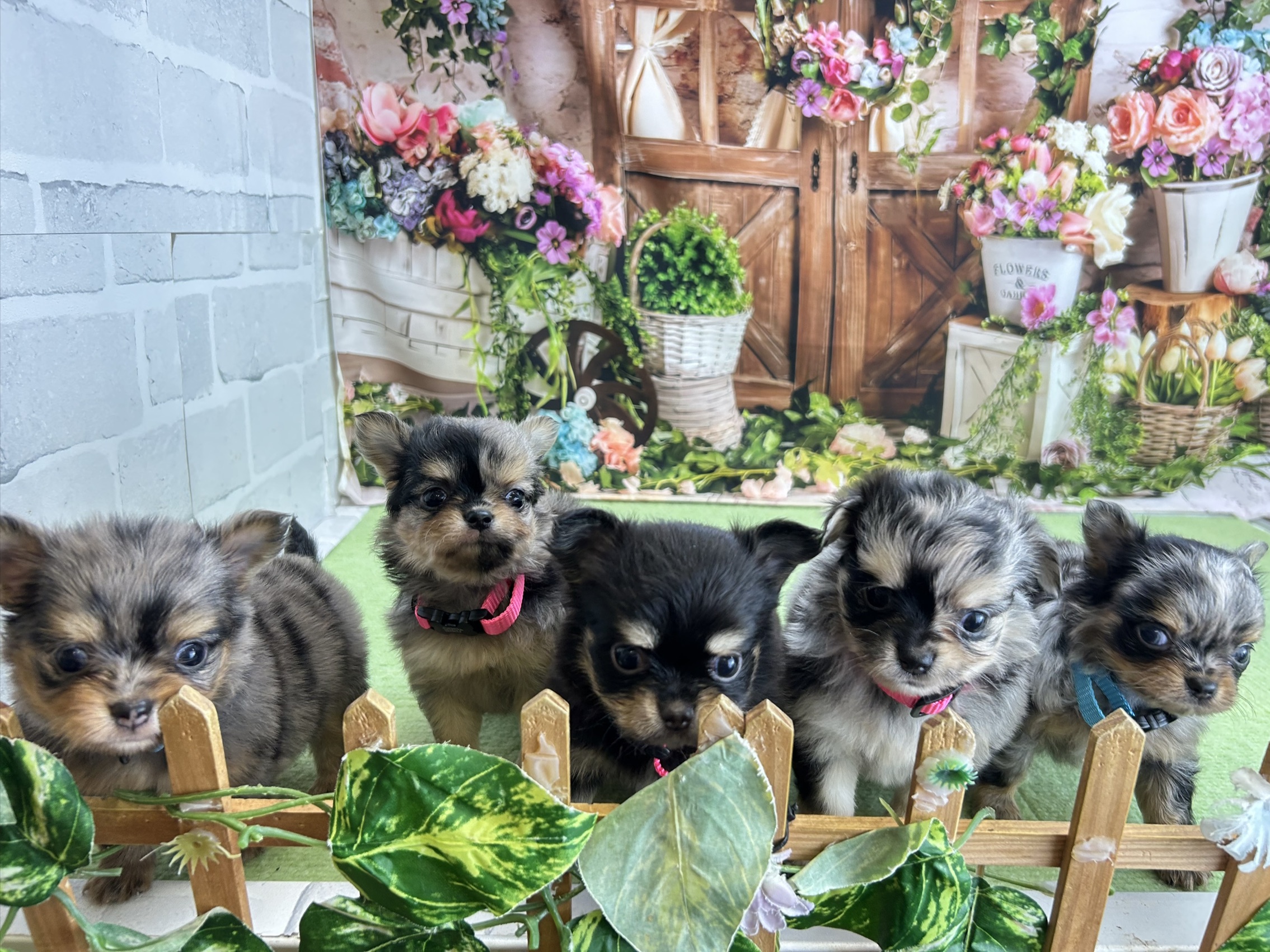 赤ちゃん写真2-3