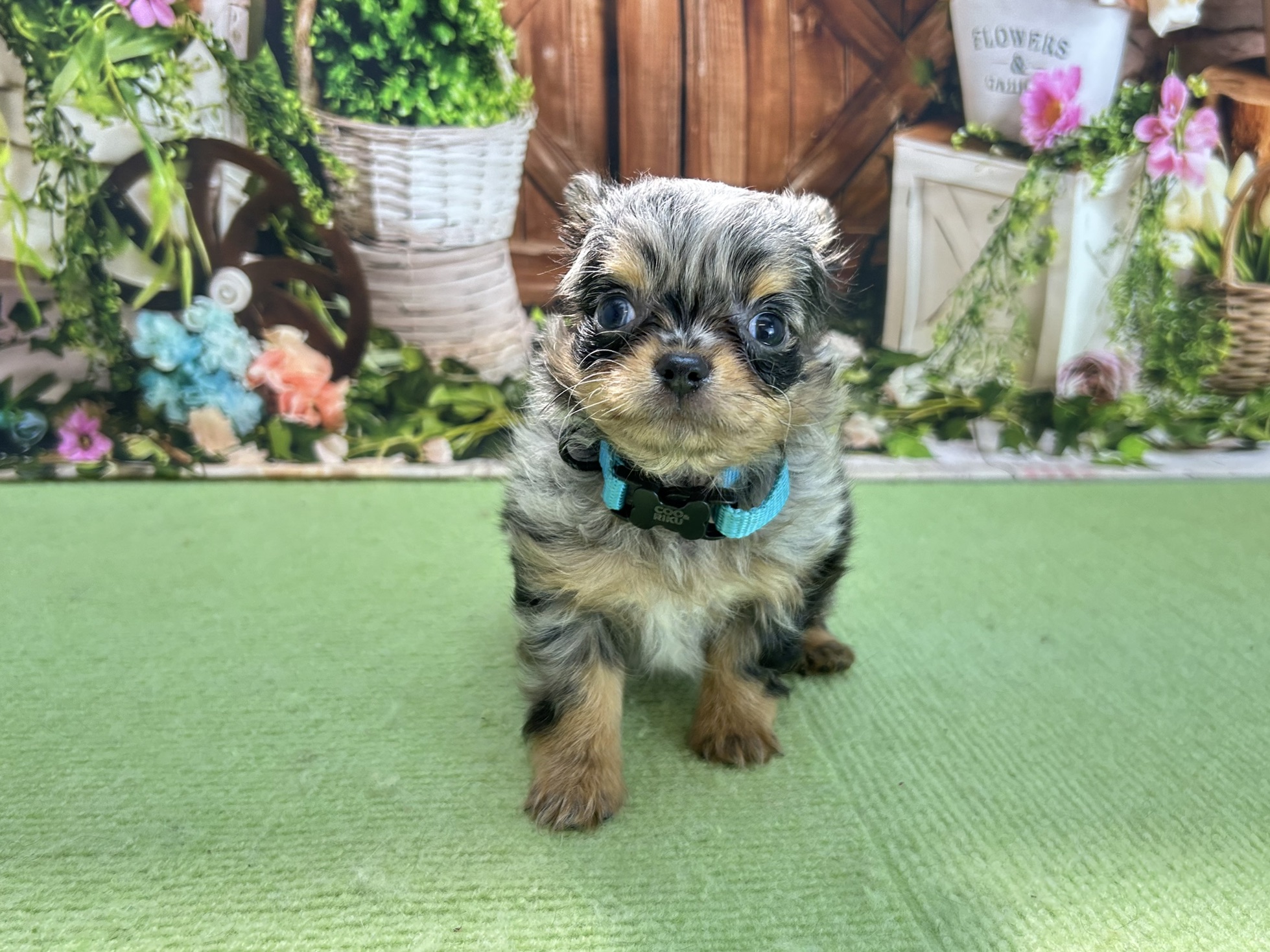 赤ちゃん写真3-1