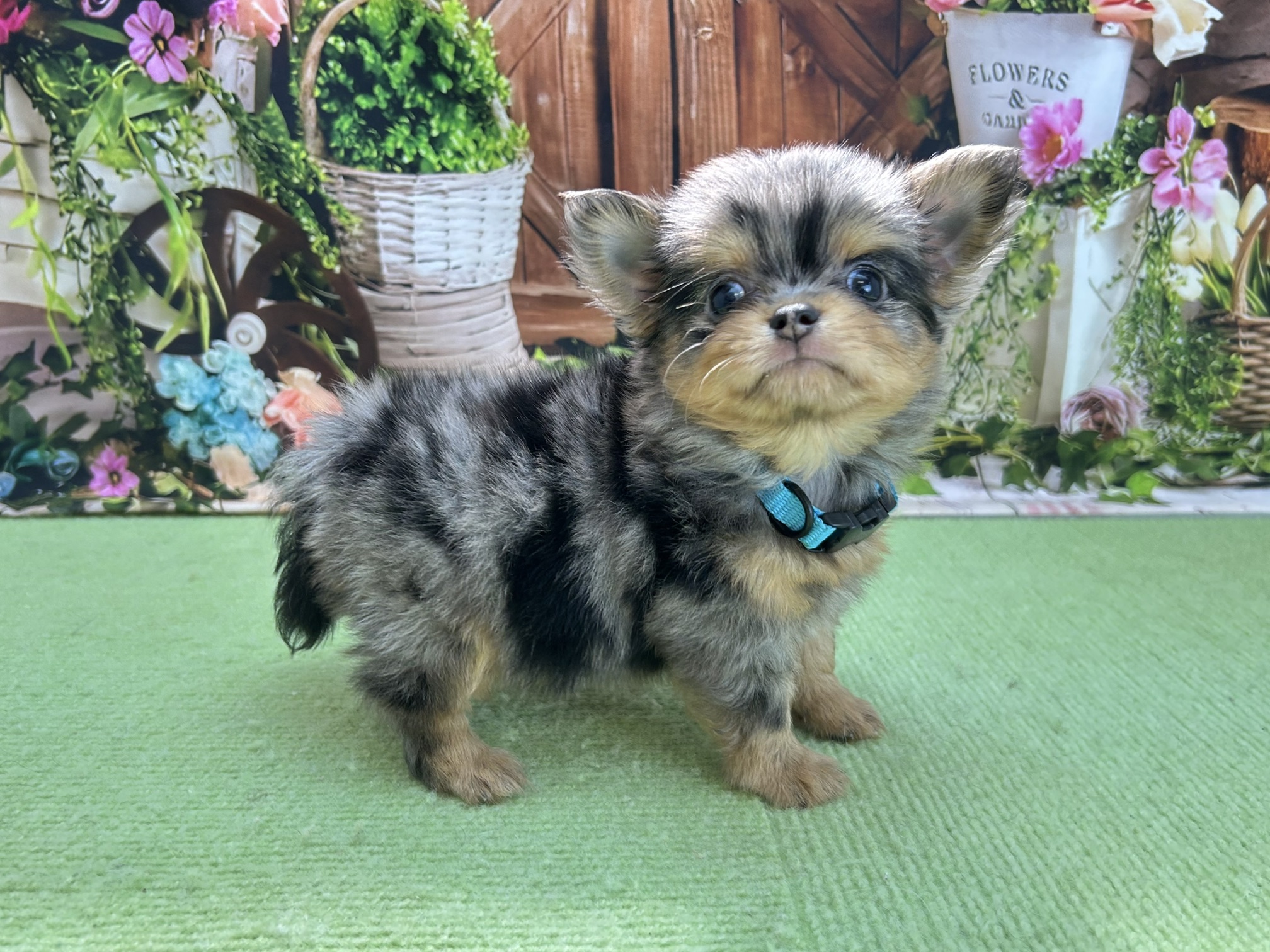 赤ちゃん写真3-2