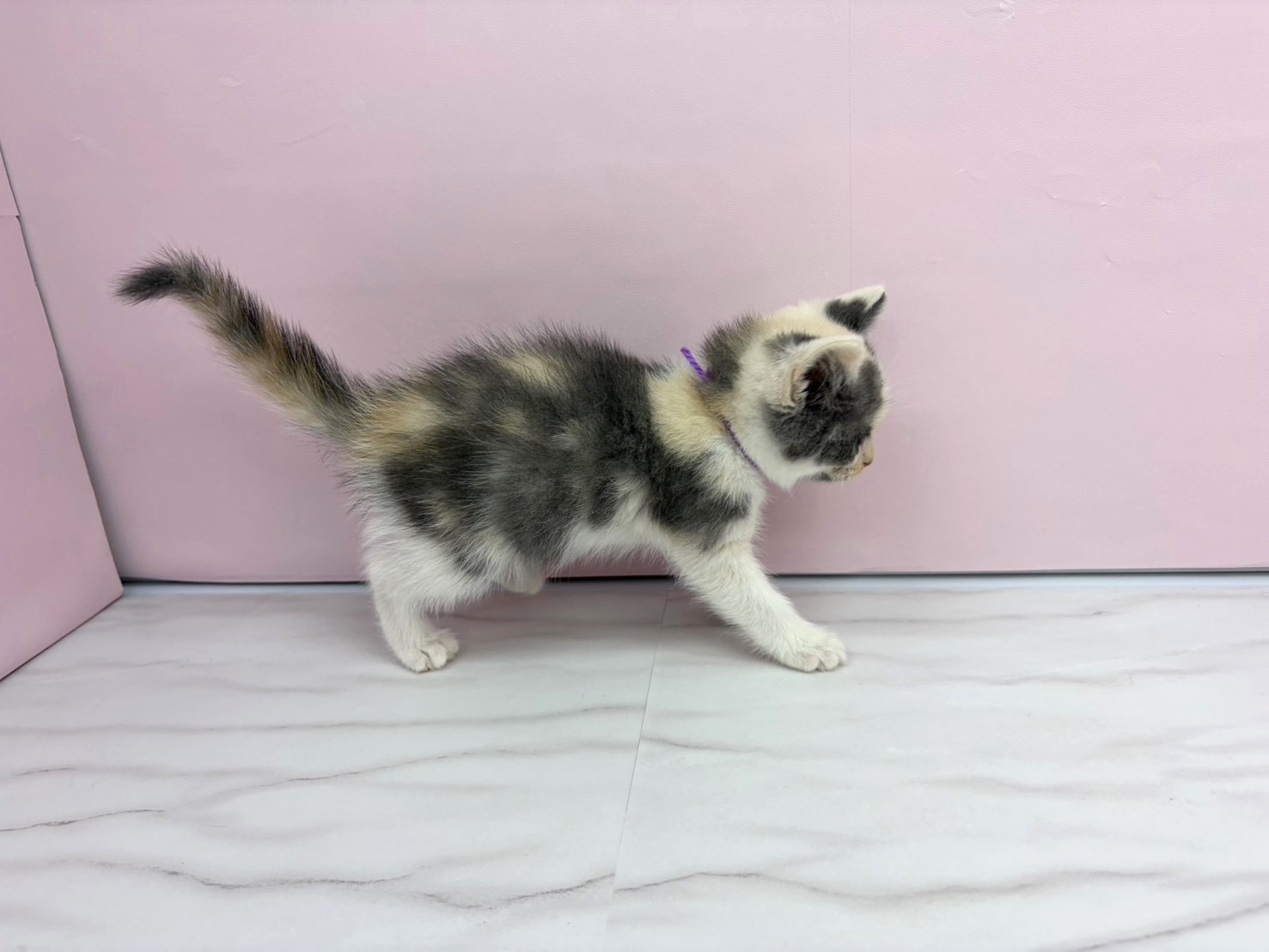 赤ちゃん写真2-2