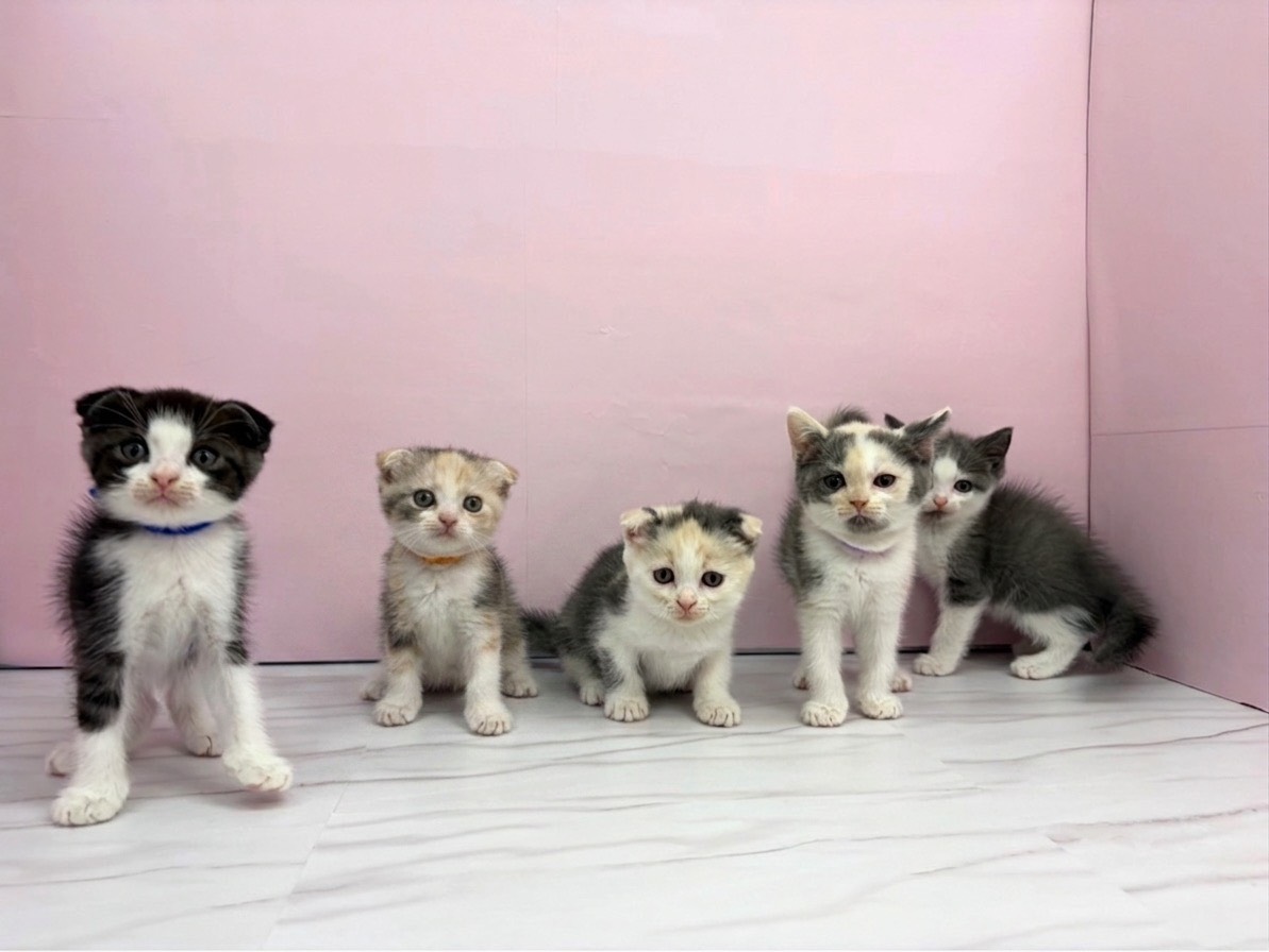 赤ちゃん写真2-3
