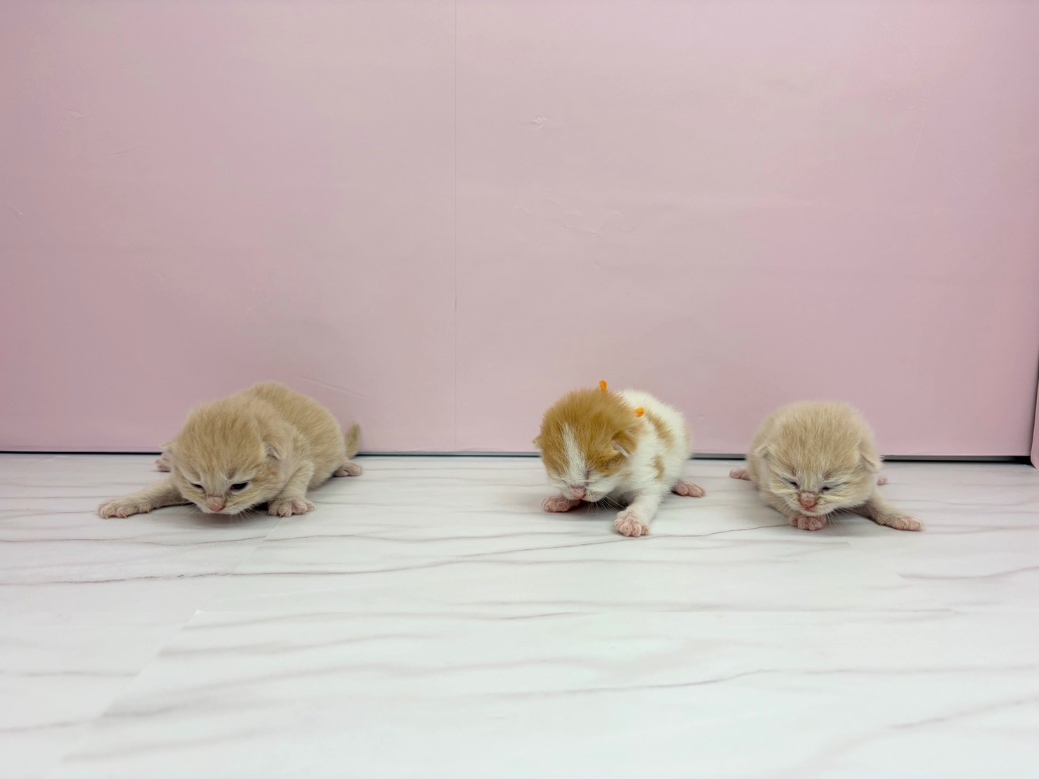 赤ちゃん写真1-3
