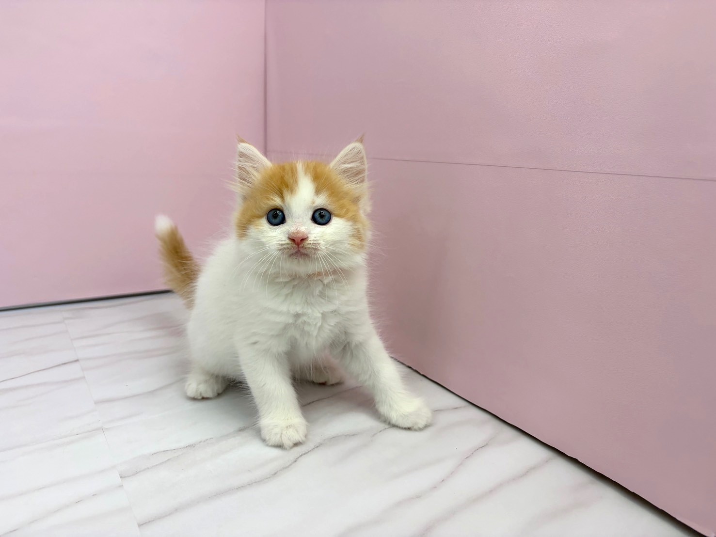 赤ちゃん写真2-1