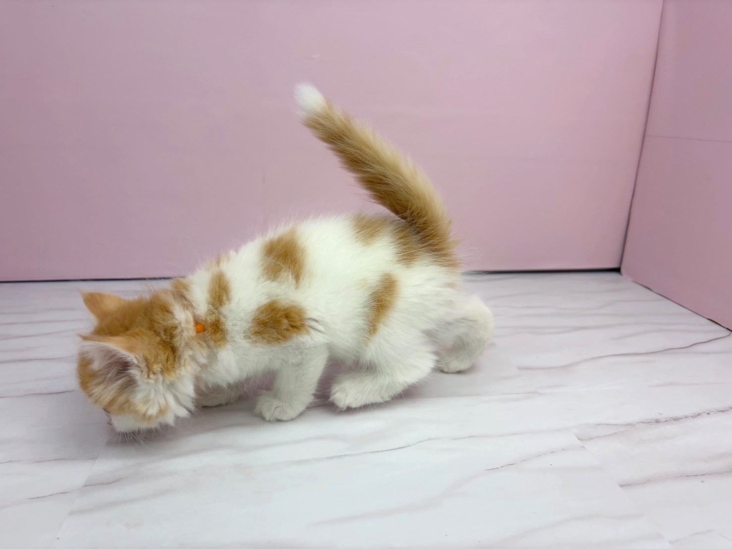 赤ちゃん写真2-2