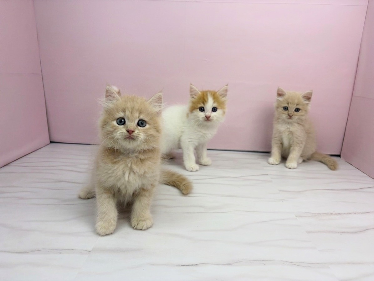 赤ちゃん写真2-3