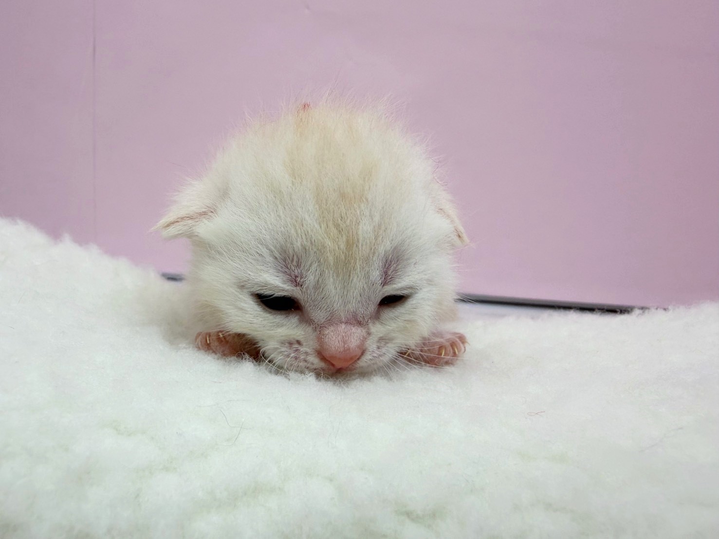 赤ちゃん写真1-1
