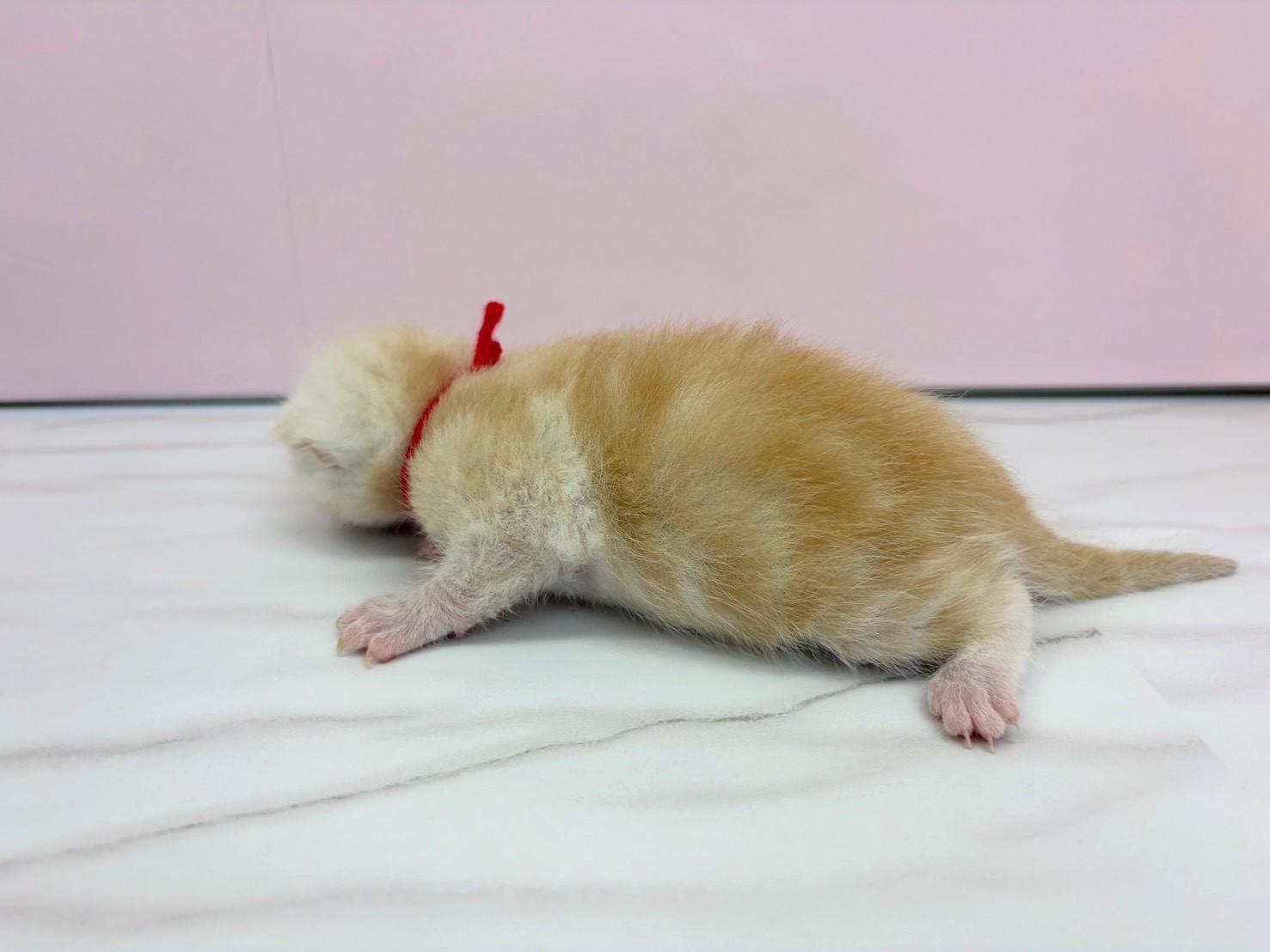 赤ちゃん写真1-2