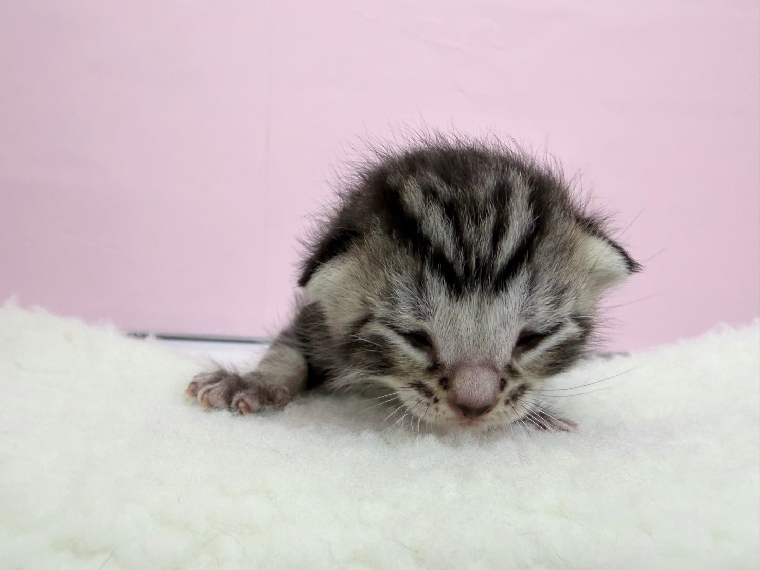 赤ちゃん写真1-1