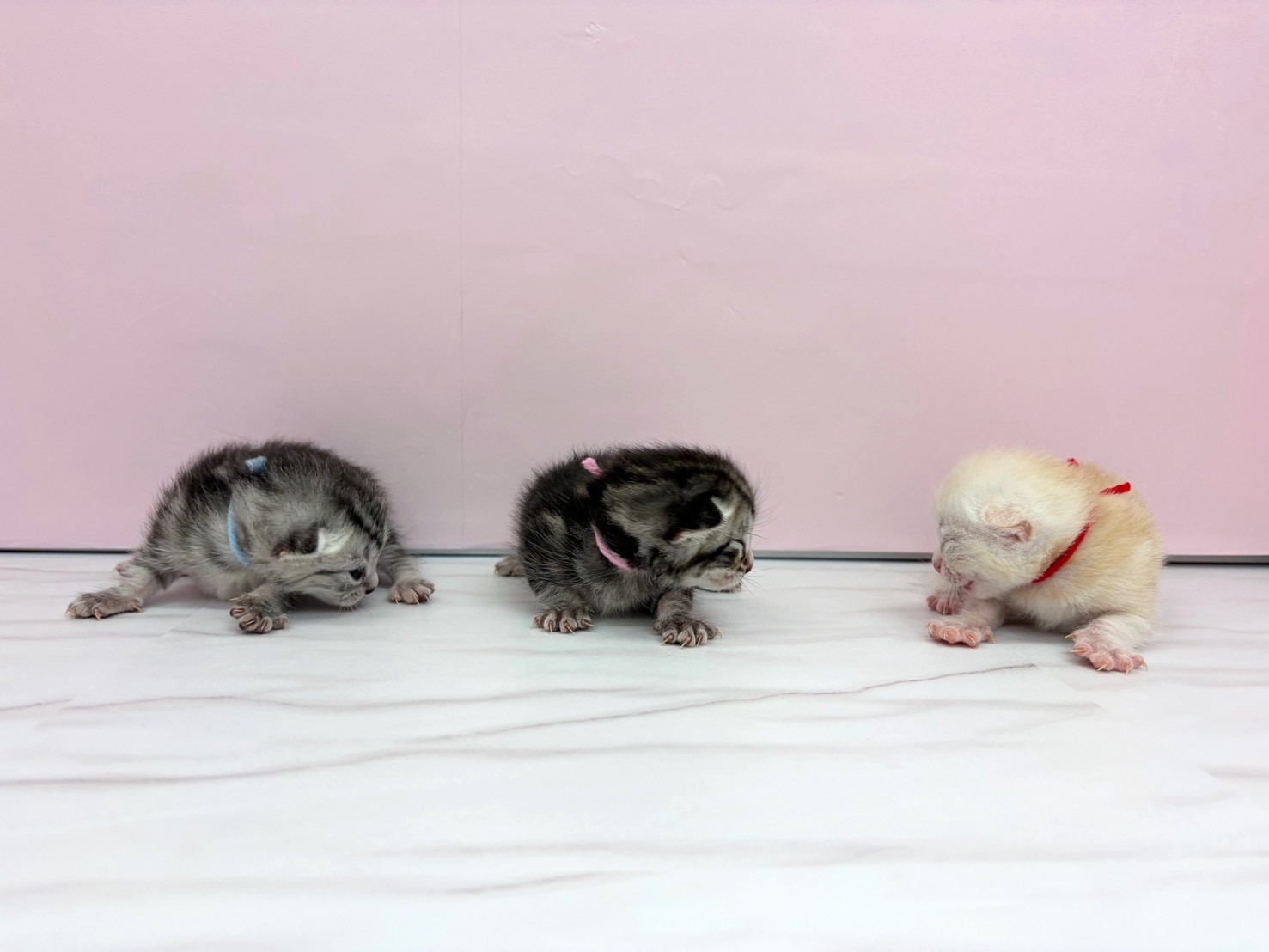 赤ちゃん写真1-3