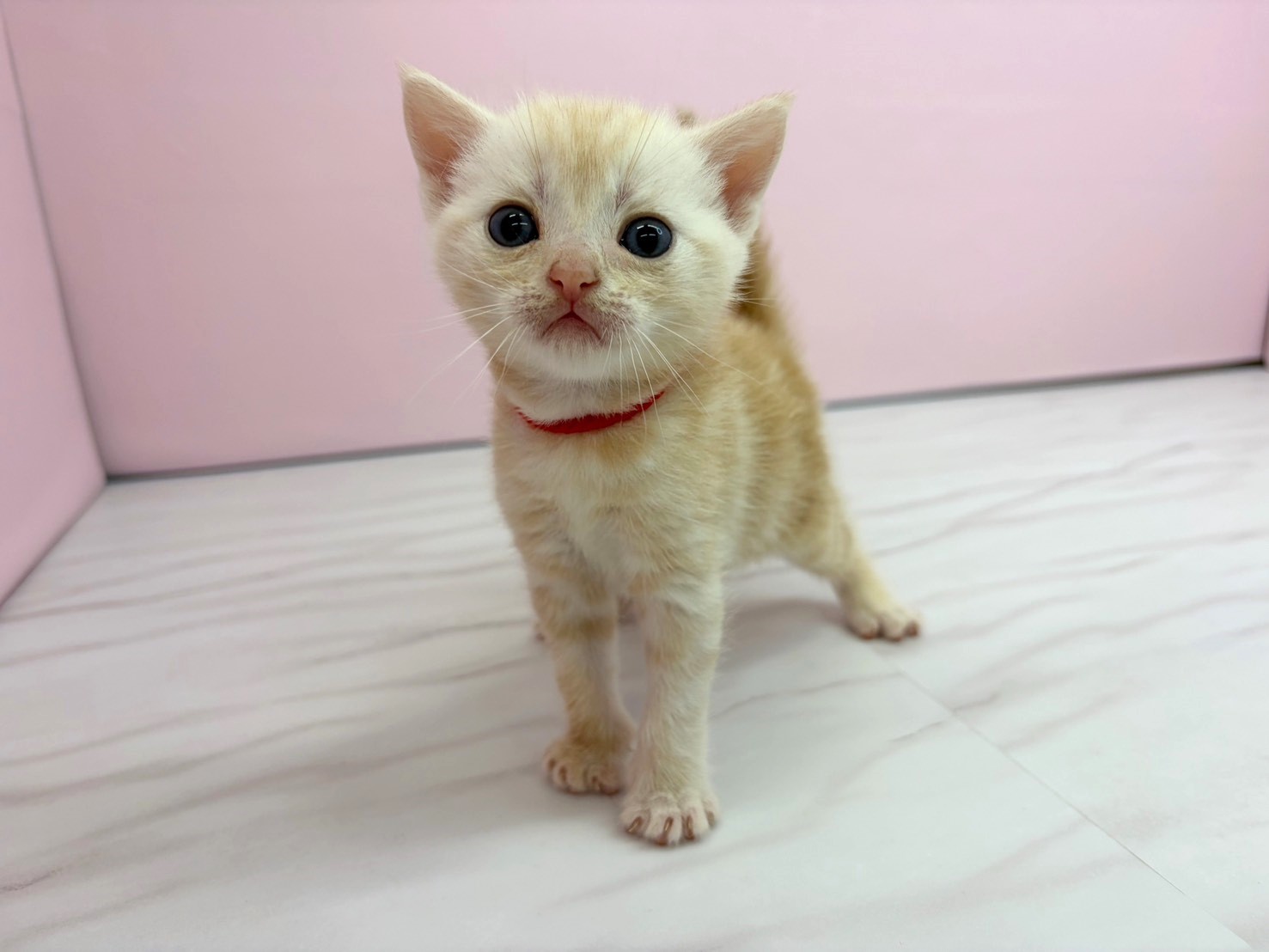 赤ちゃん写真2-1