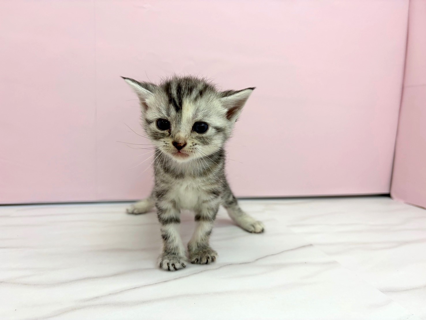 赤ちゃん写真2-1