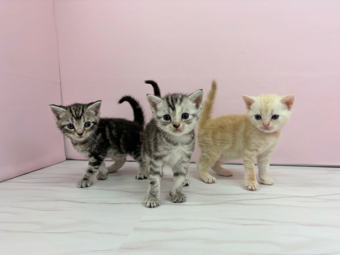 赤ちゃん写真2-3