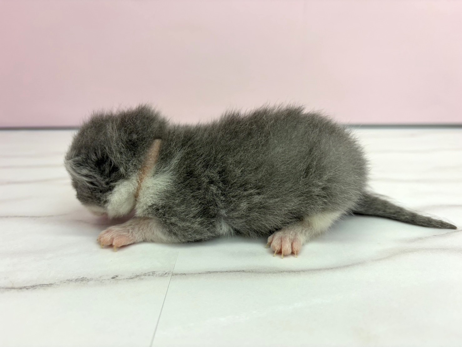 赤ちゃん写真1-2