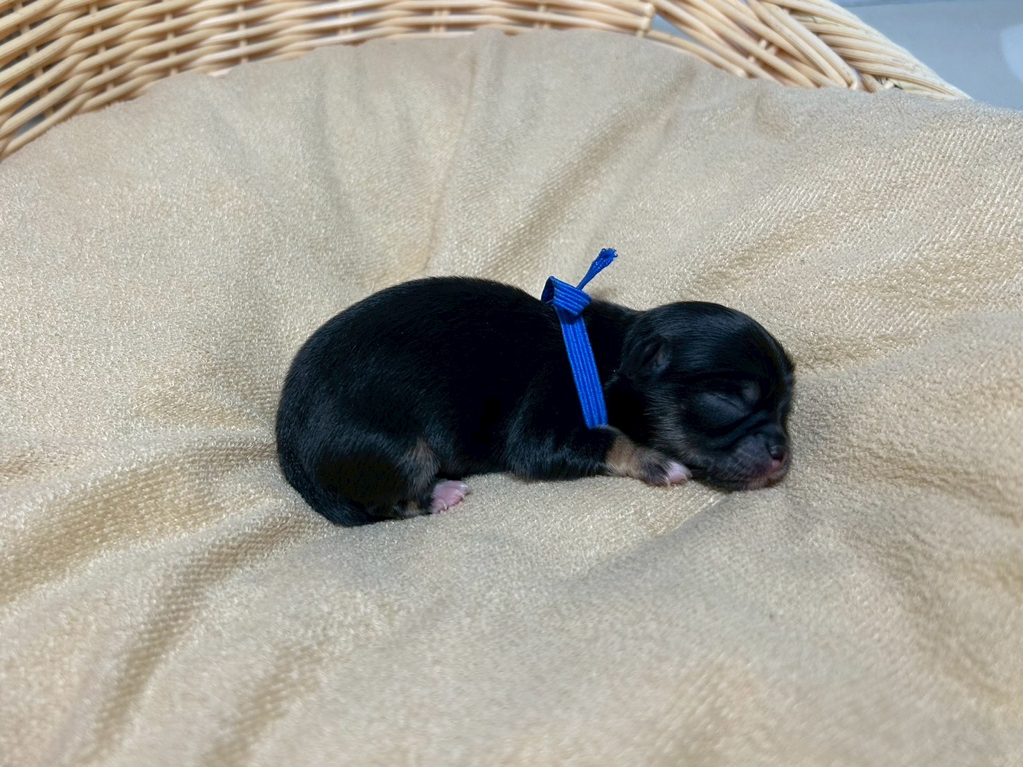 赤ちゃん写真1-2
