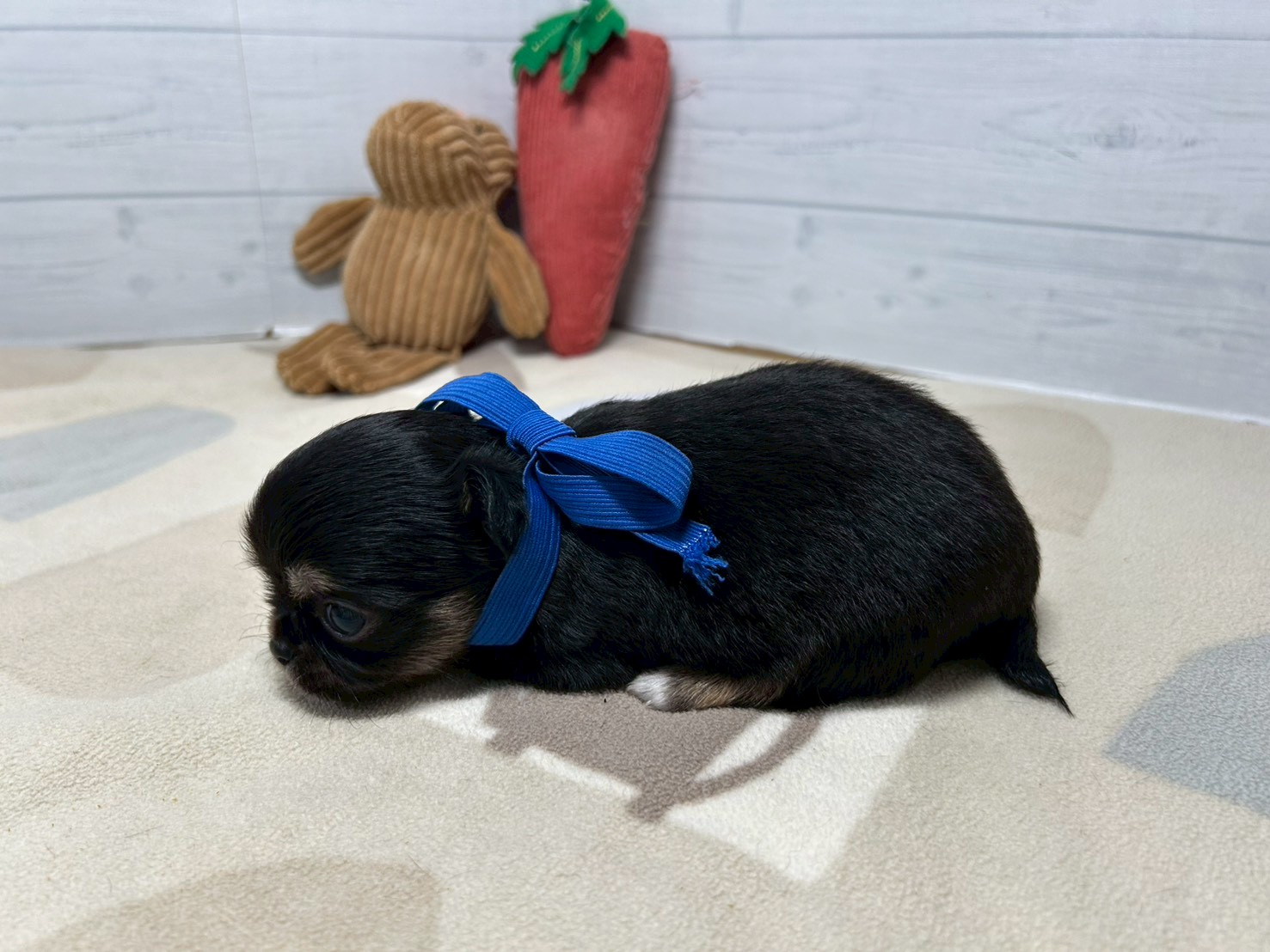 赤ちゃん写真2-2