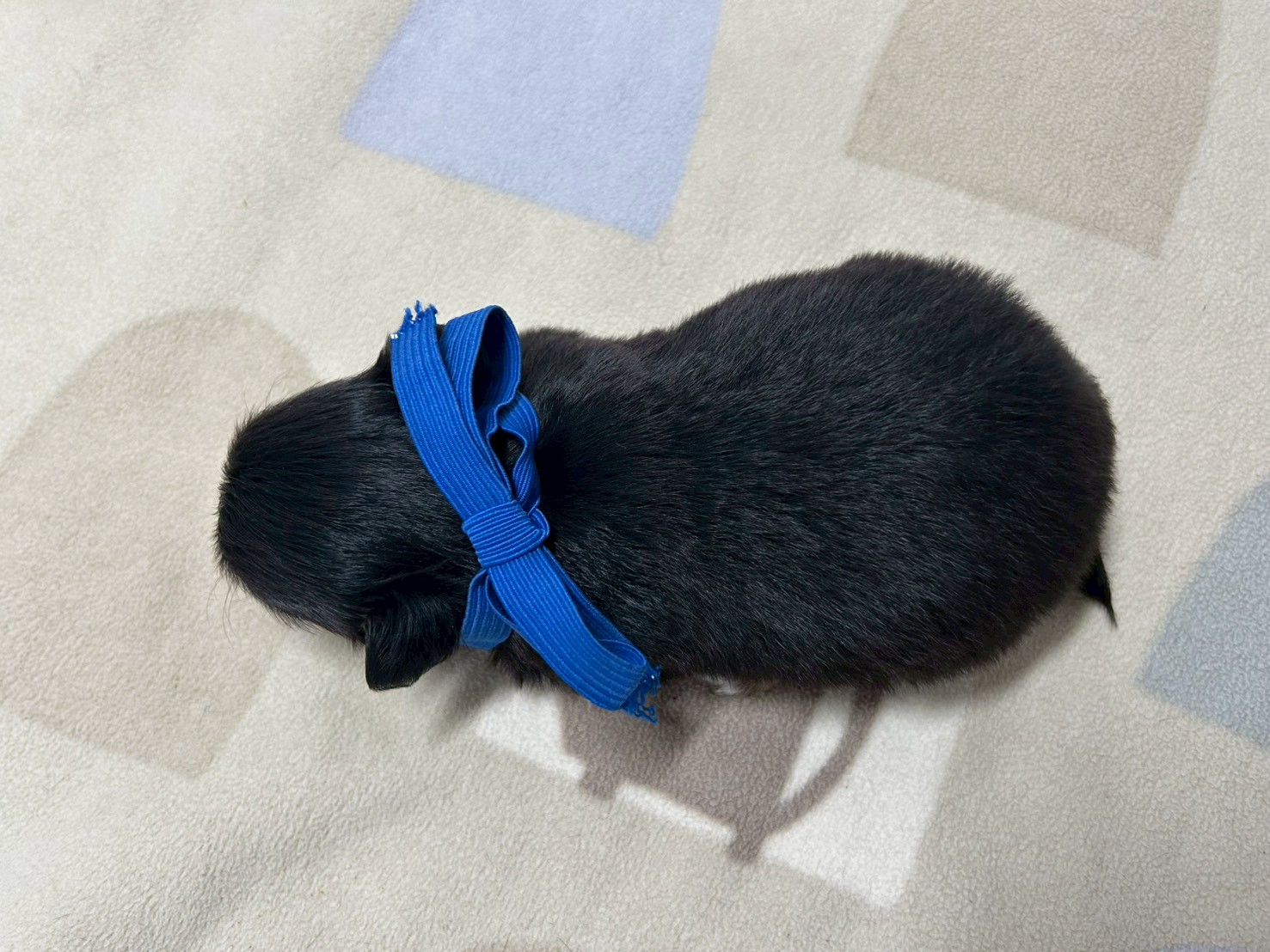 赤ちゃん写真2-3