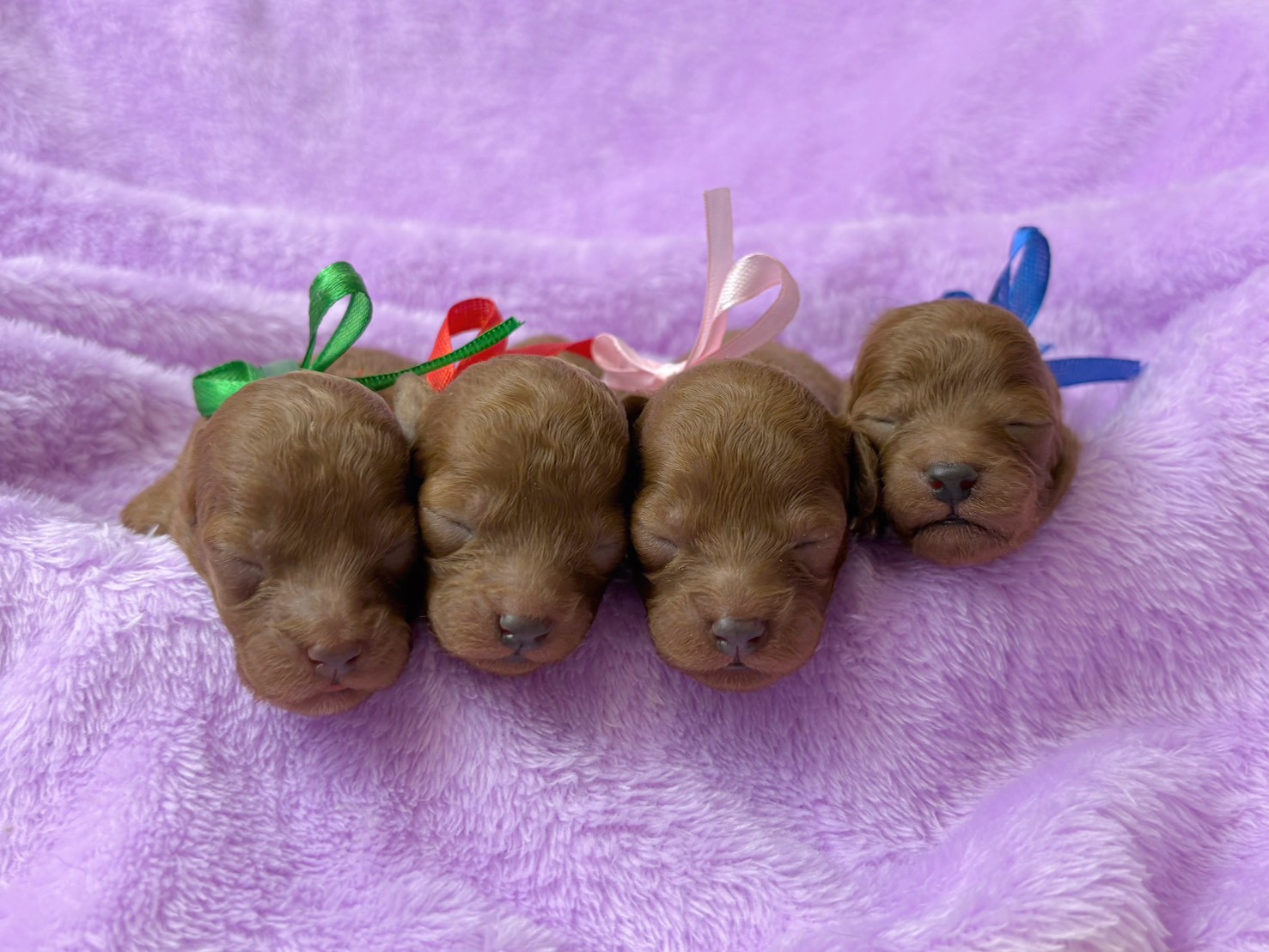 赤ちゃん写真1-3