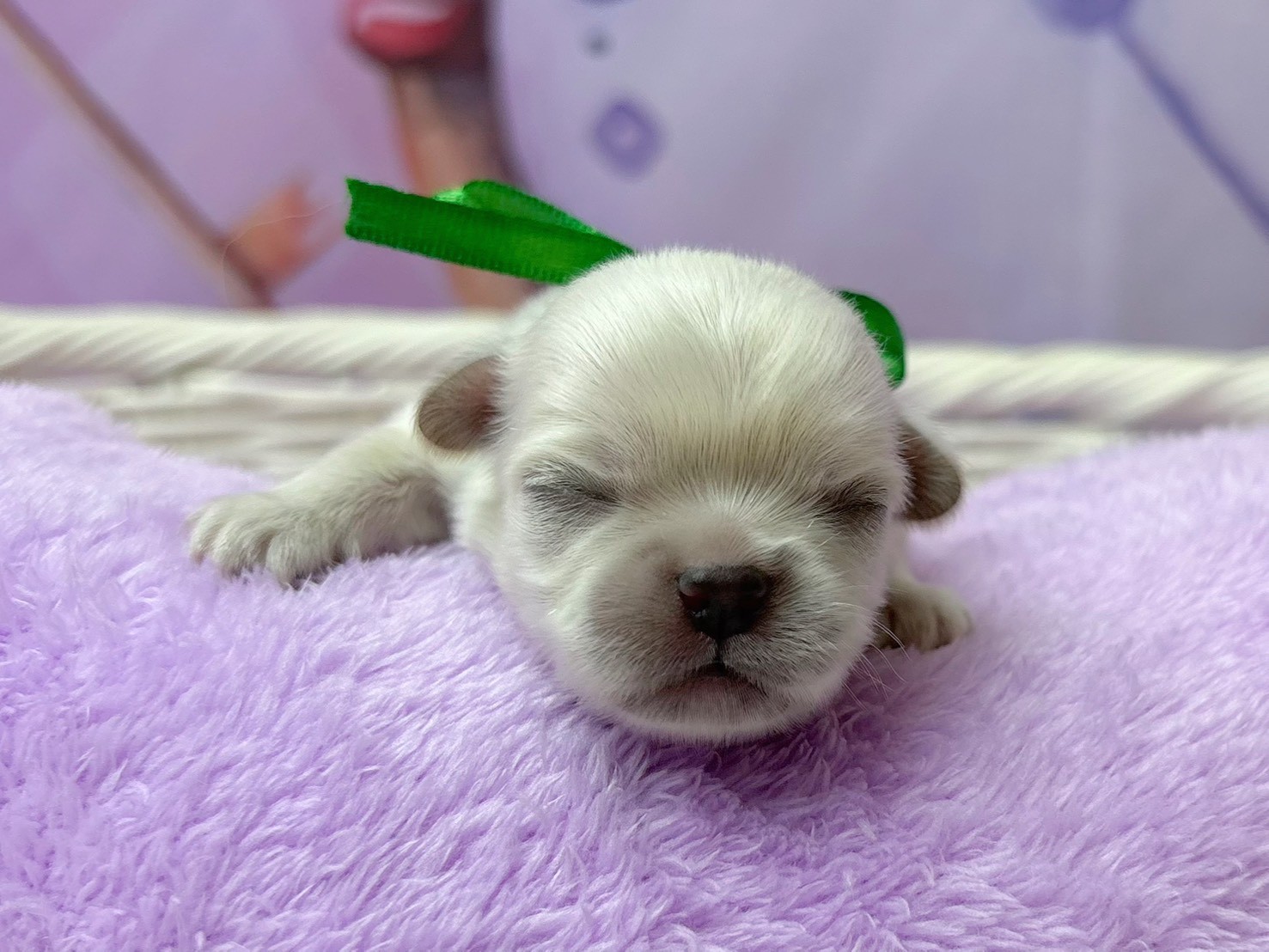 赤ちゃん写真1-1