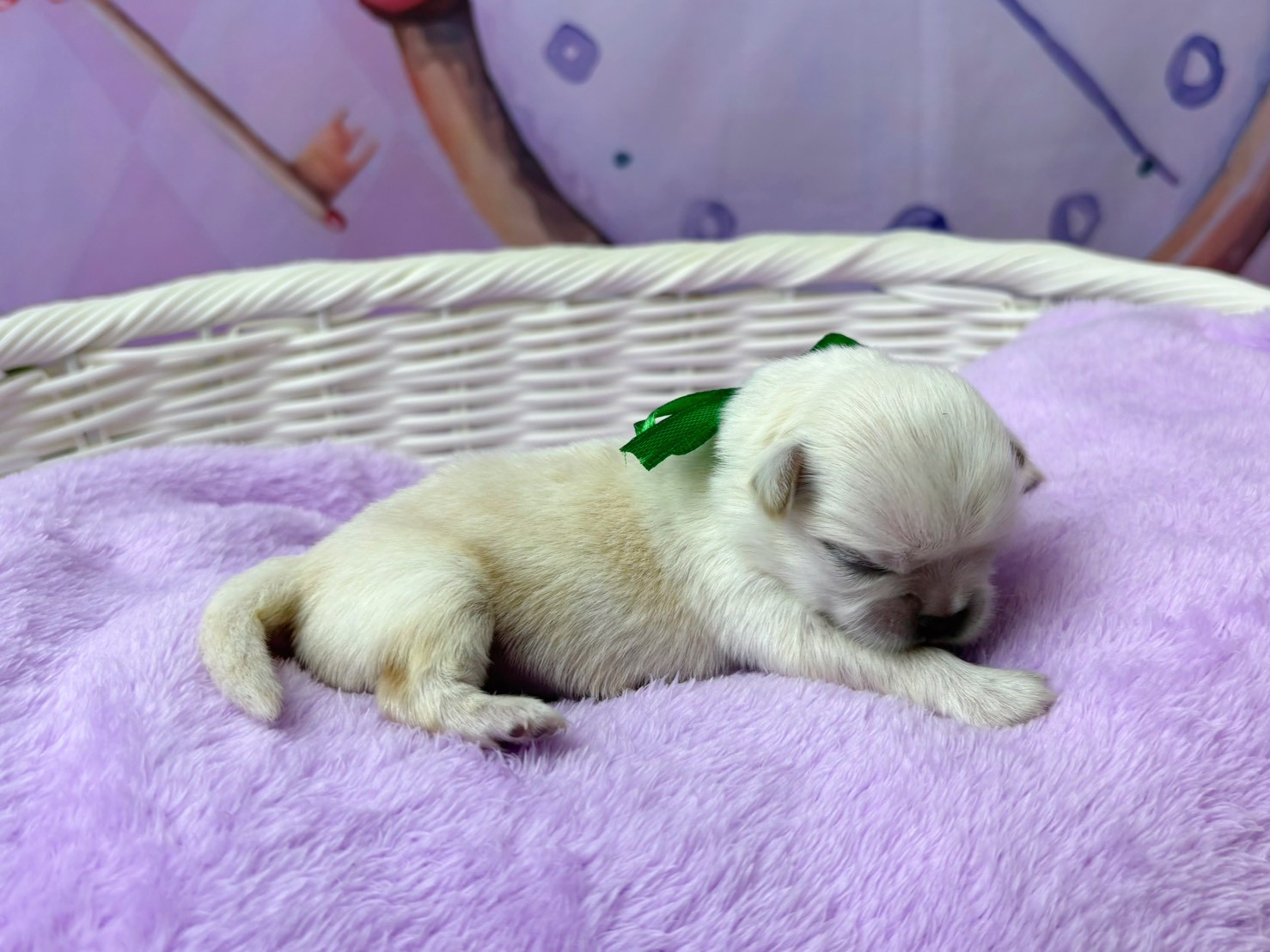 赤ちゃん写真1-2