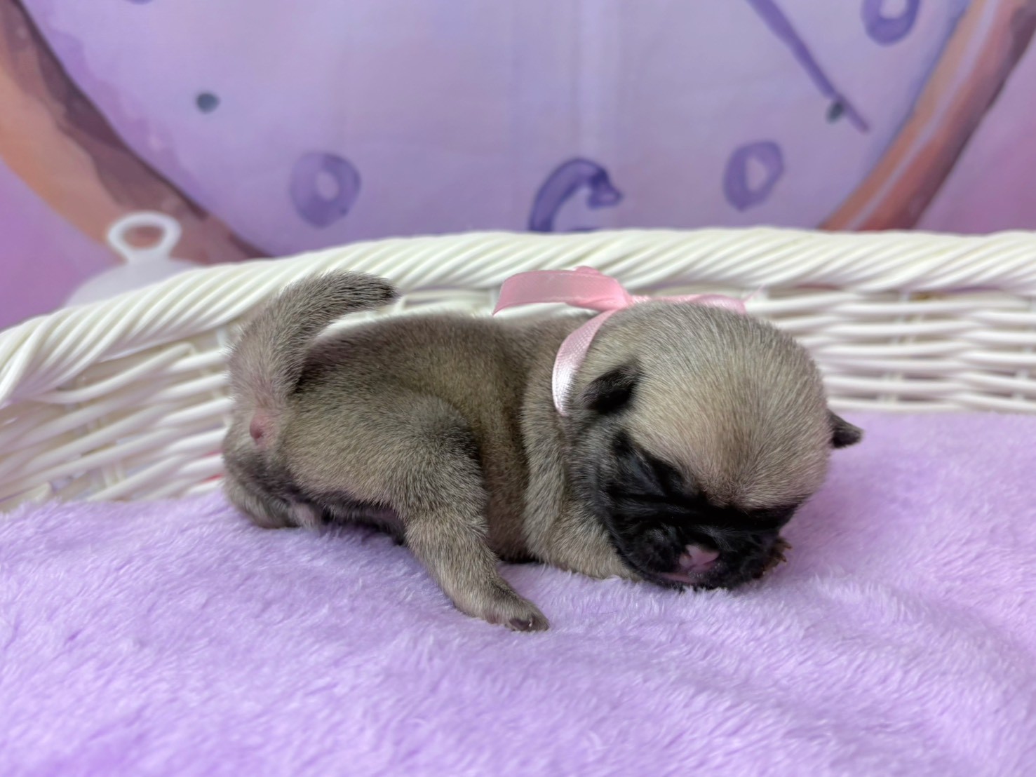 赤ちゃん写真1-2