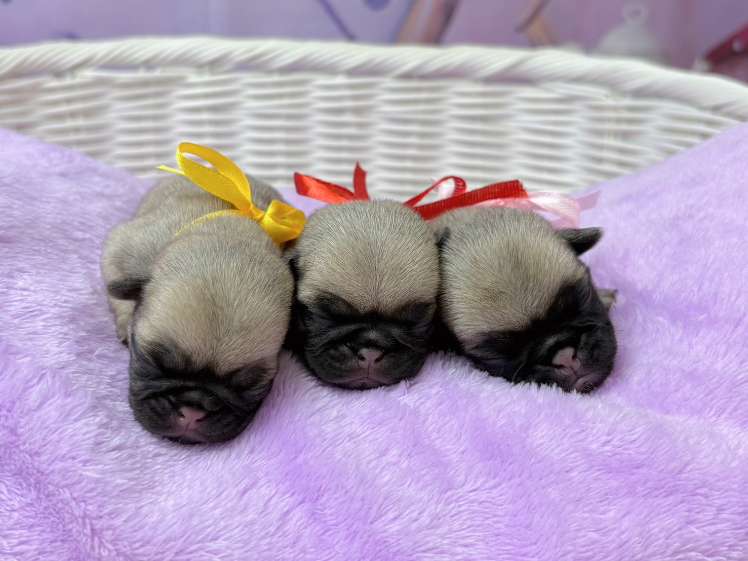 赤ちゃん写真1-3