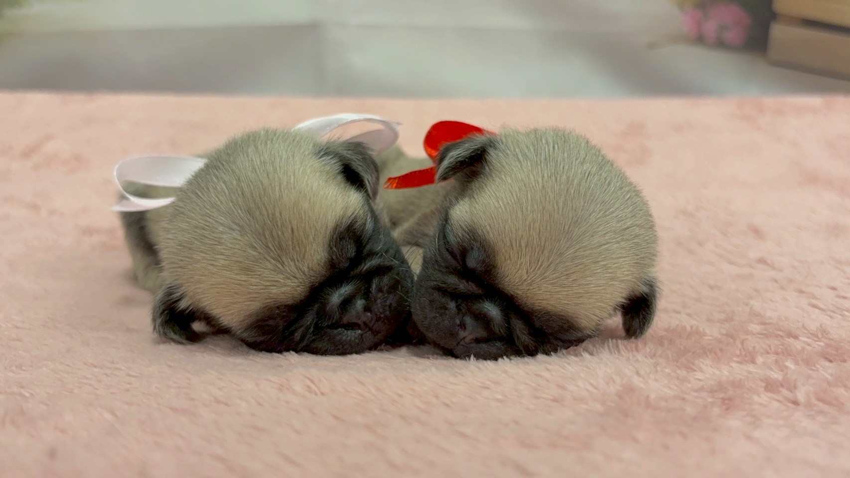 赤ちゃん写真2-3
