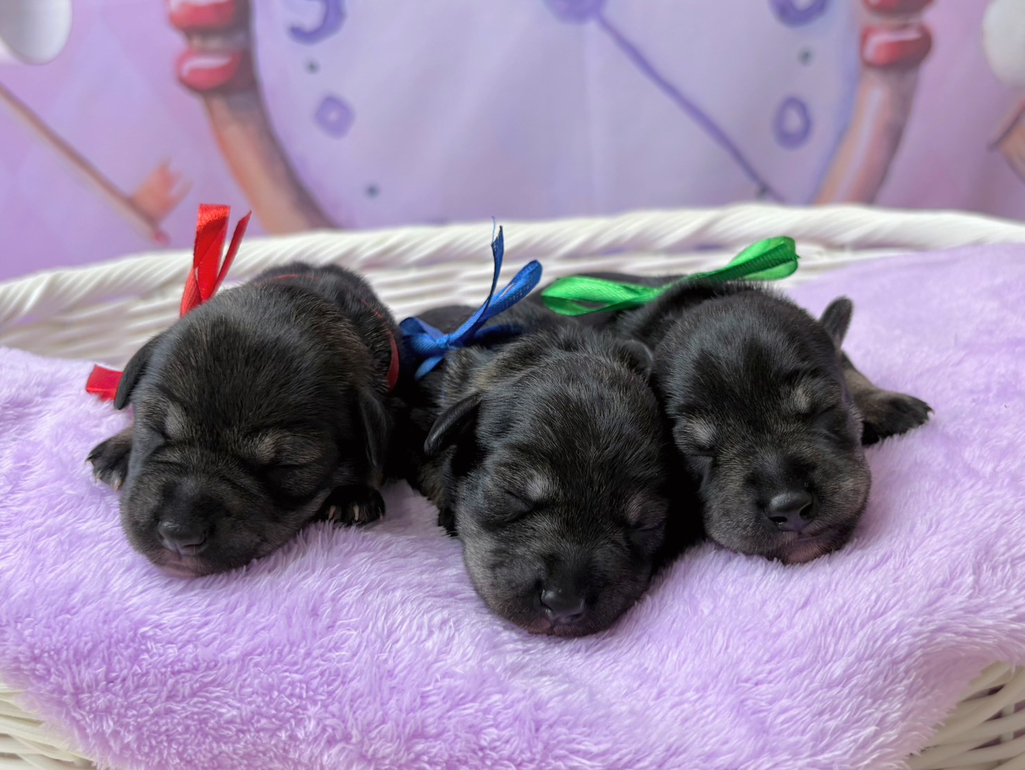赤ちゃん写真1-3
