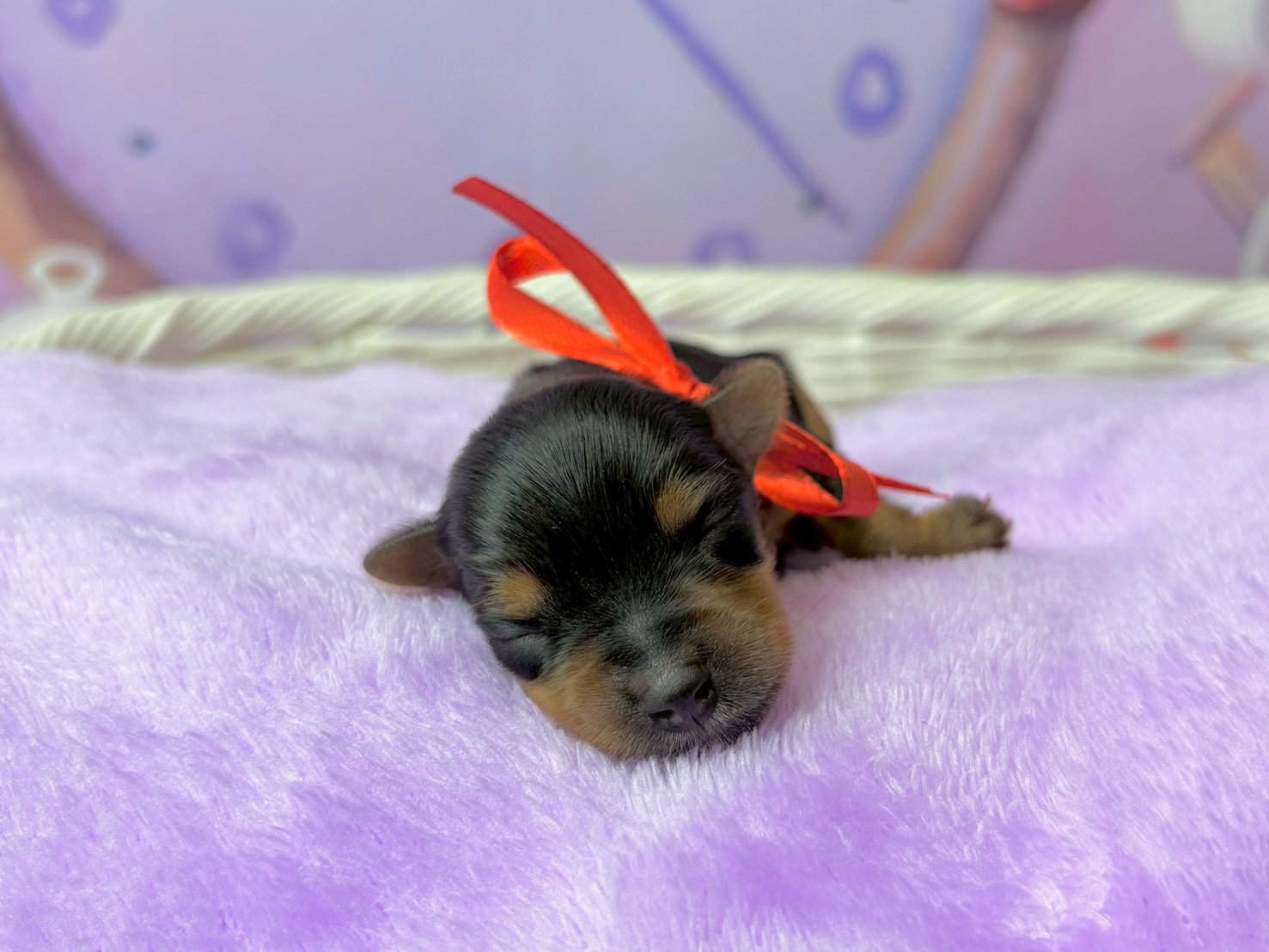 赤ちゃん写真1-1