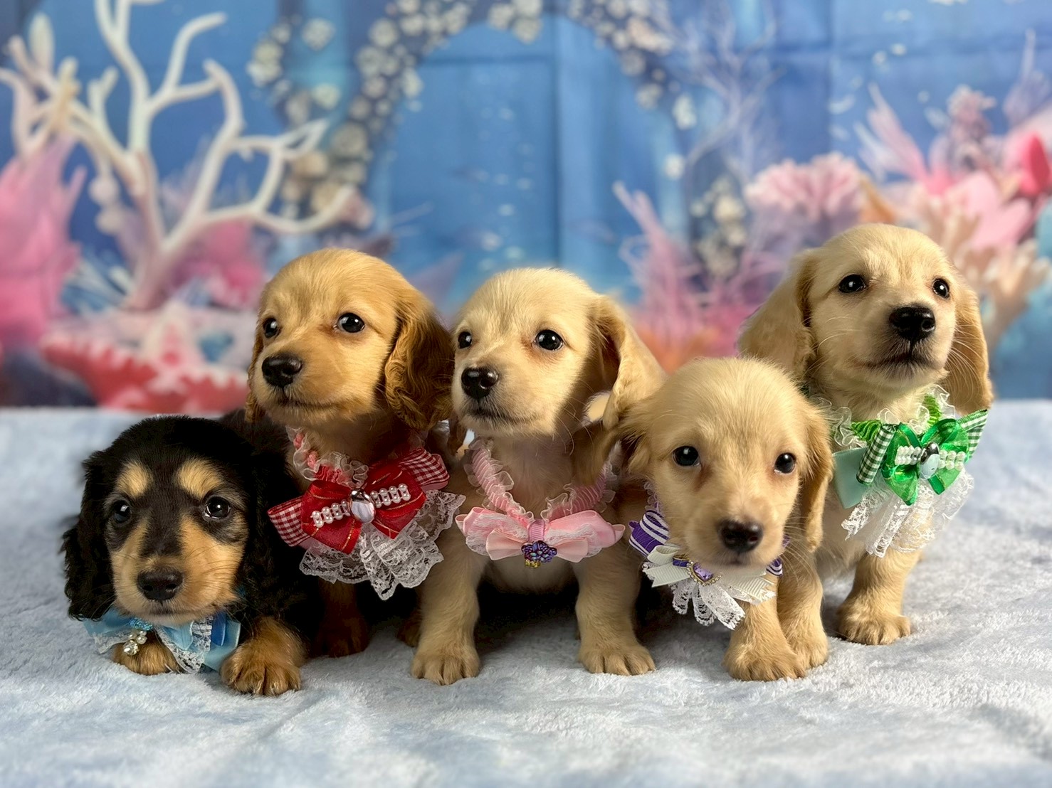 赤ちゃん写真3-3