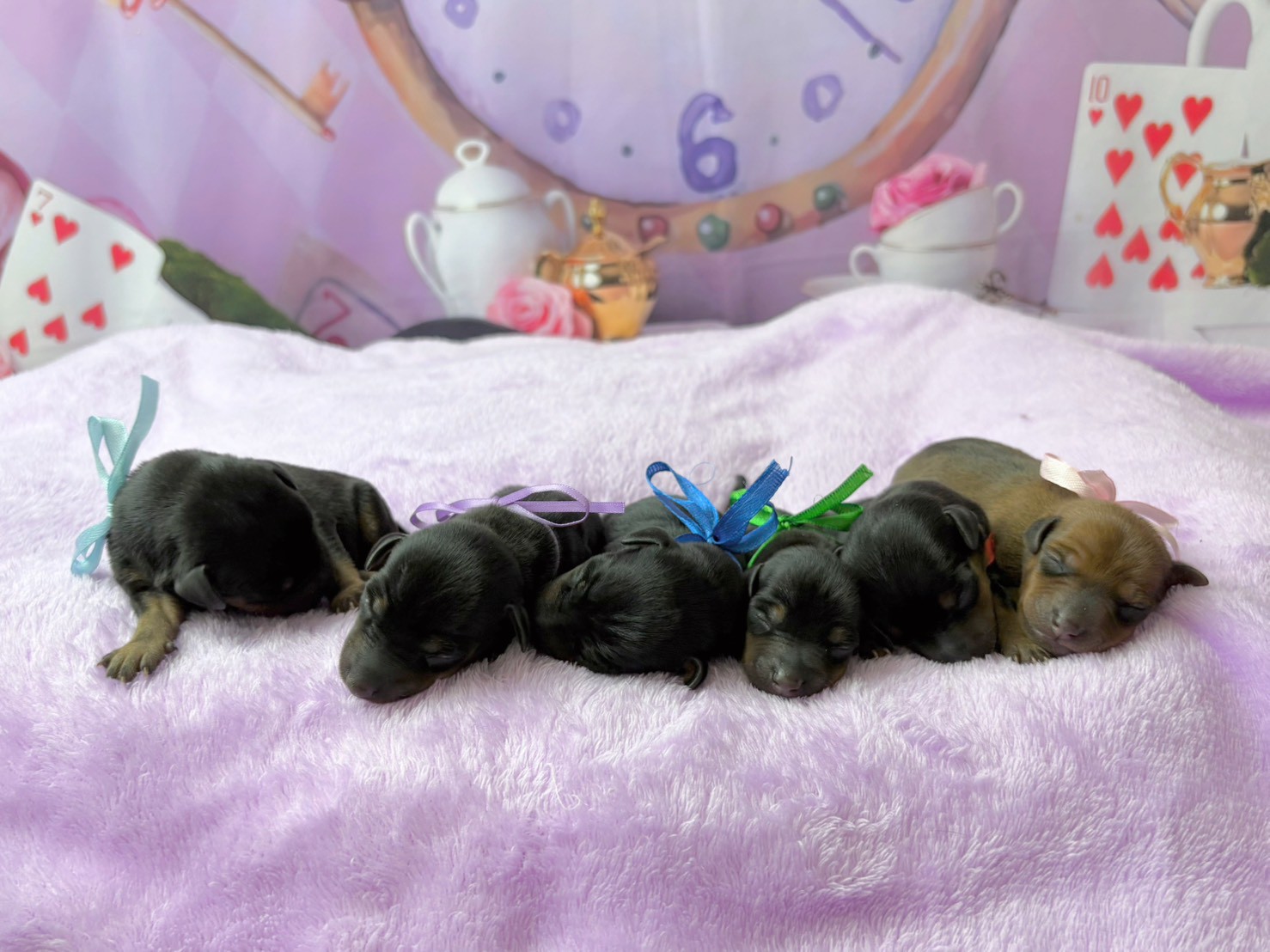 赤ちゃん写真1-3