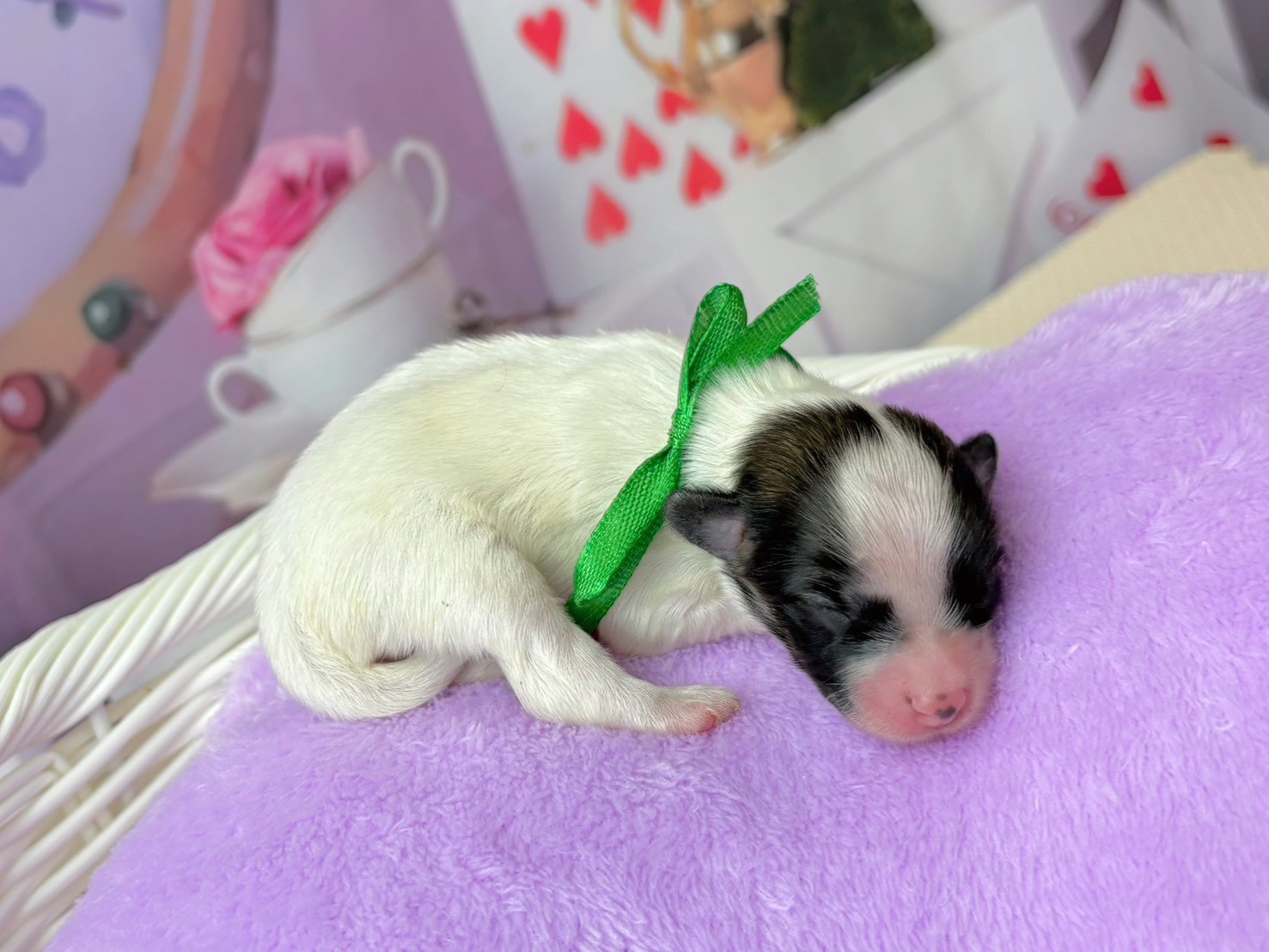 赤ちゃん写真1-2