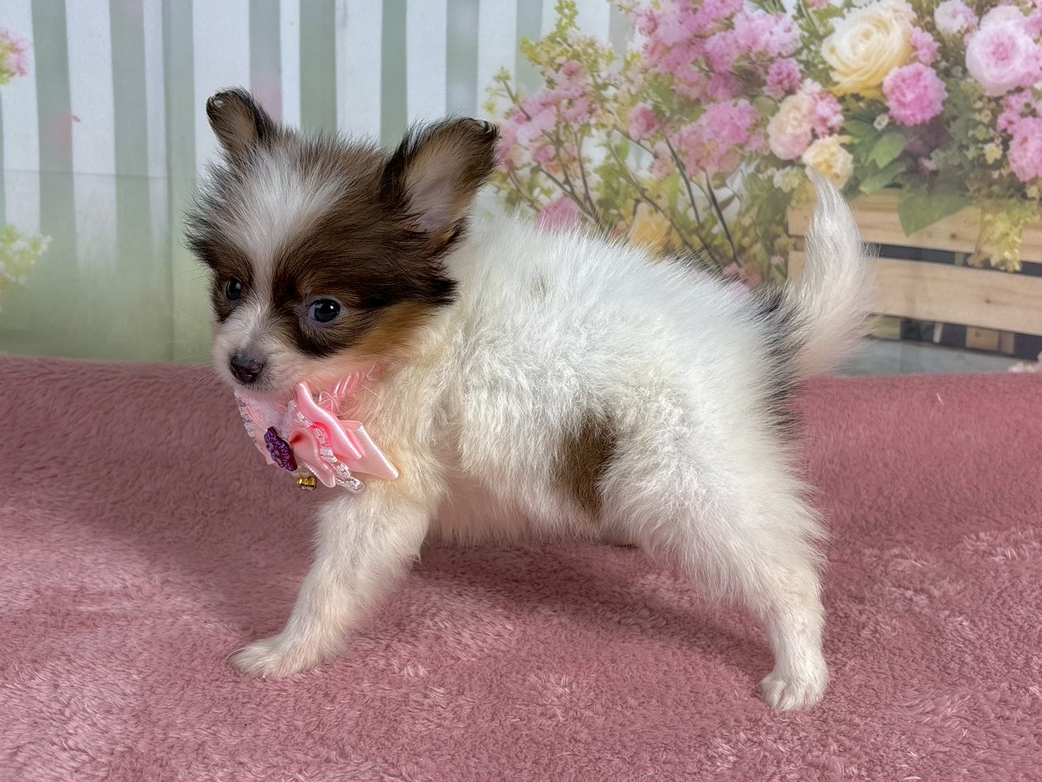 赤ちゃん写真3-2
