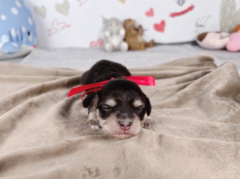 赤ちゃん写真1-1