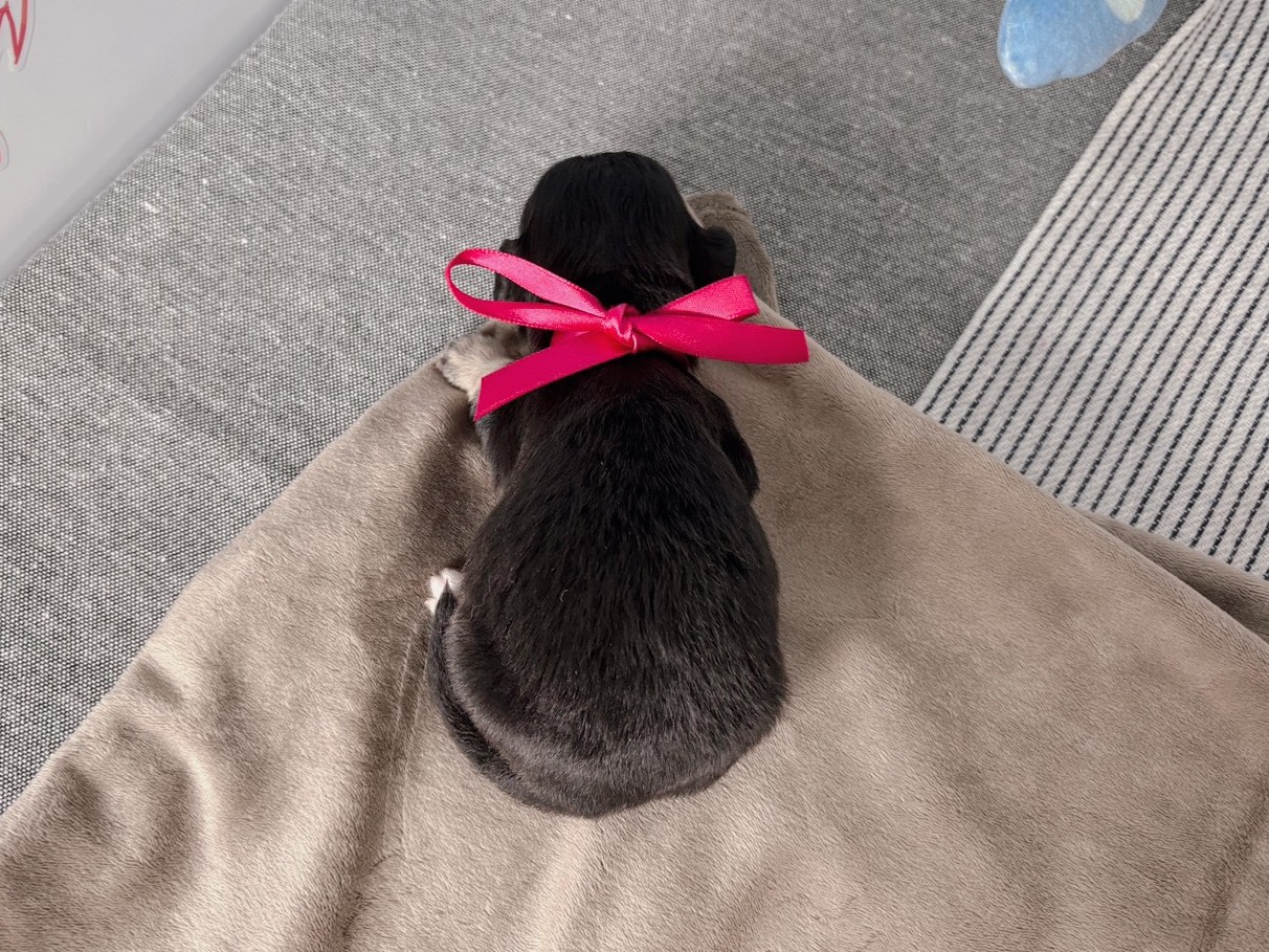 赤ちゃん写真1-3