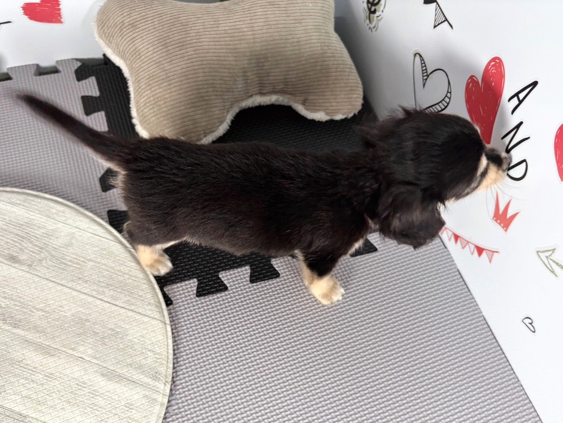 赤ちゃん写真3-3